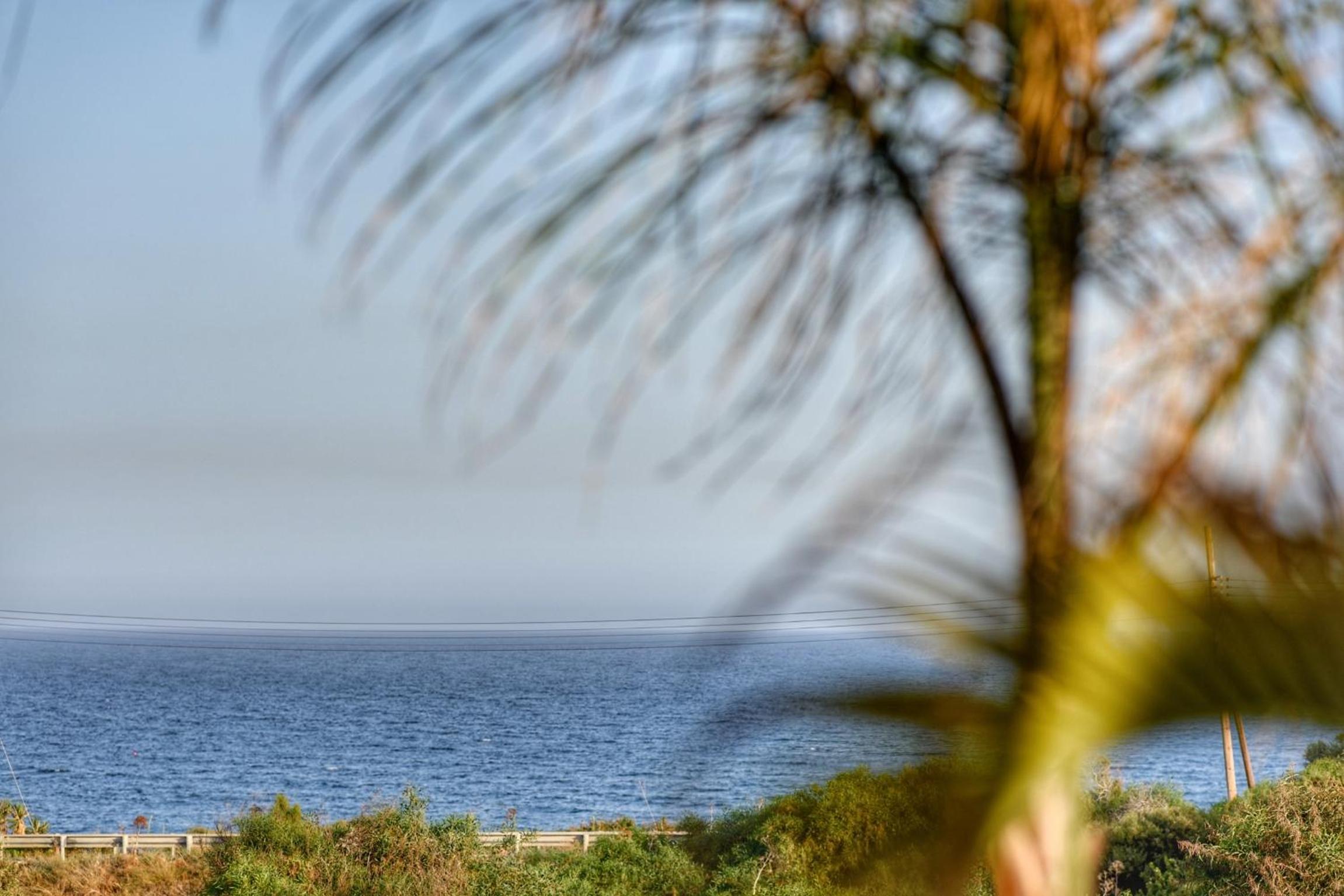 Oasis By The Sea - Cyprus