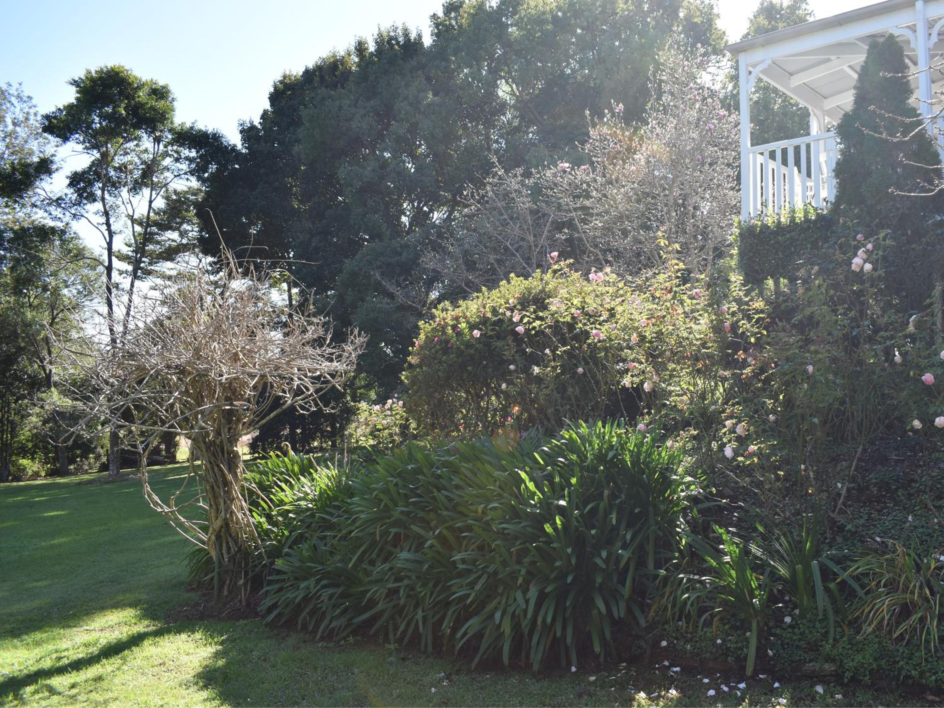 Maleny Homestead & Cottage