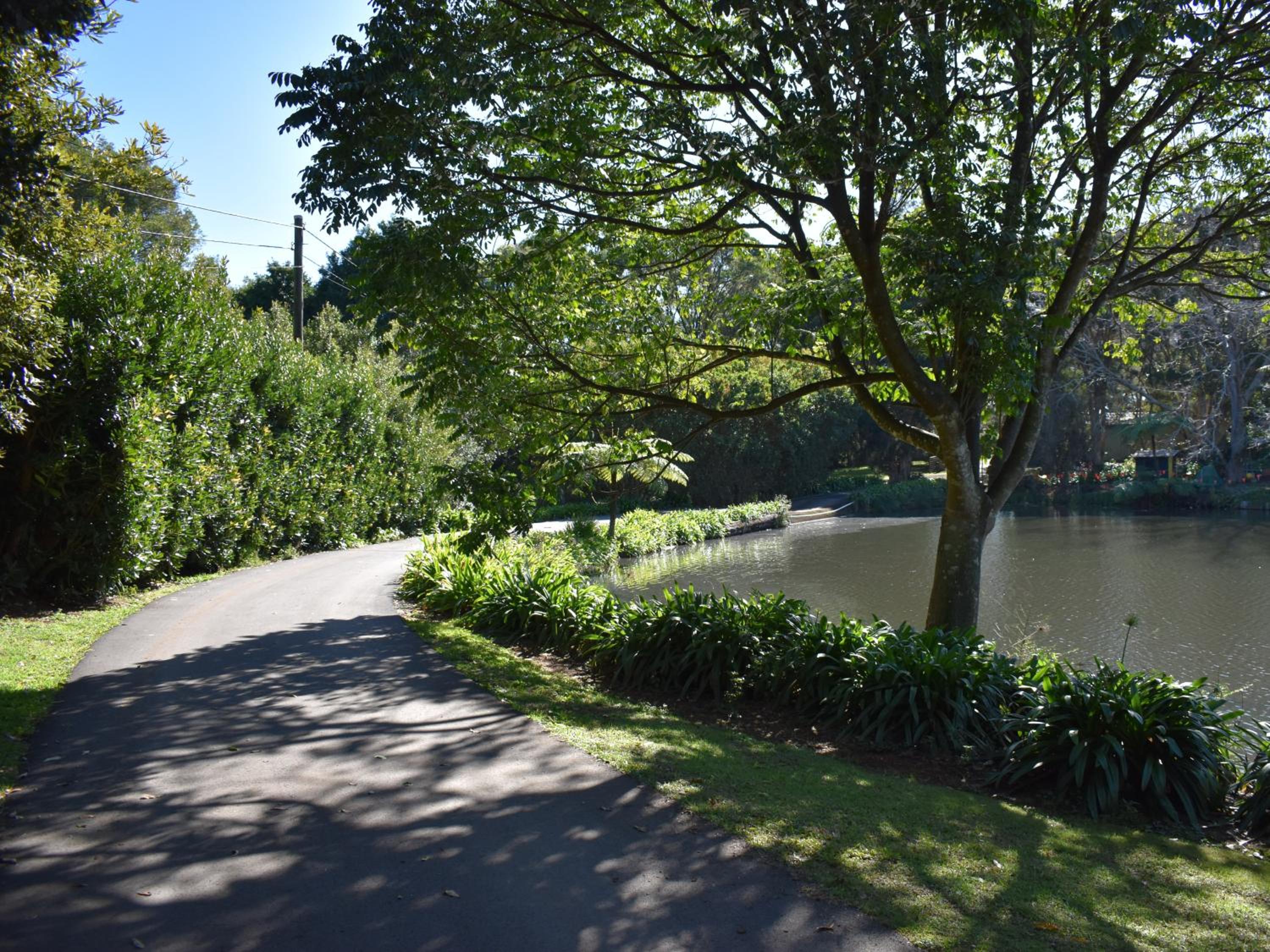 Maleny Homestead & Cottage