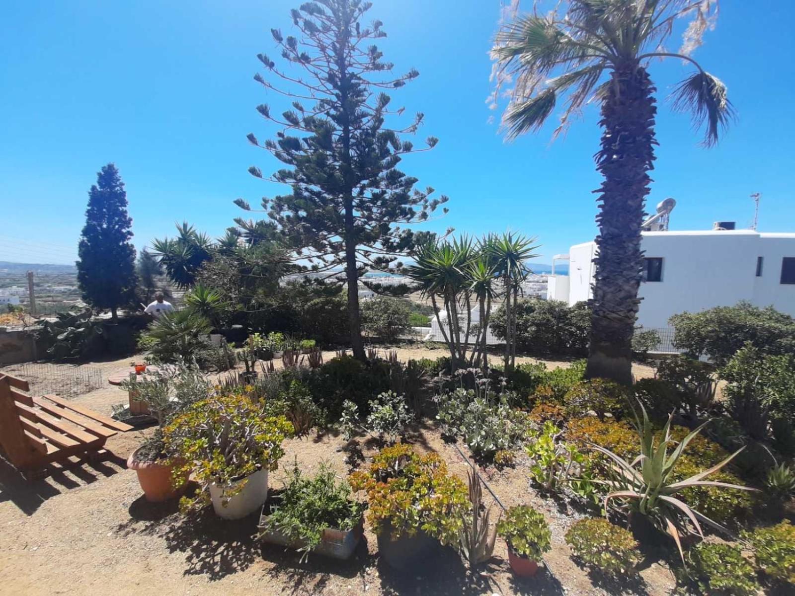 Naxian Sofias garden