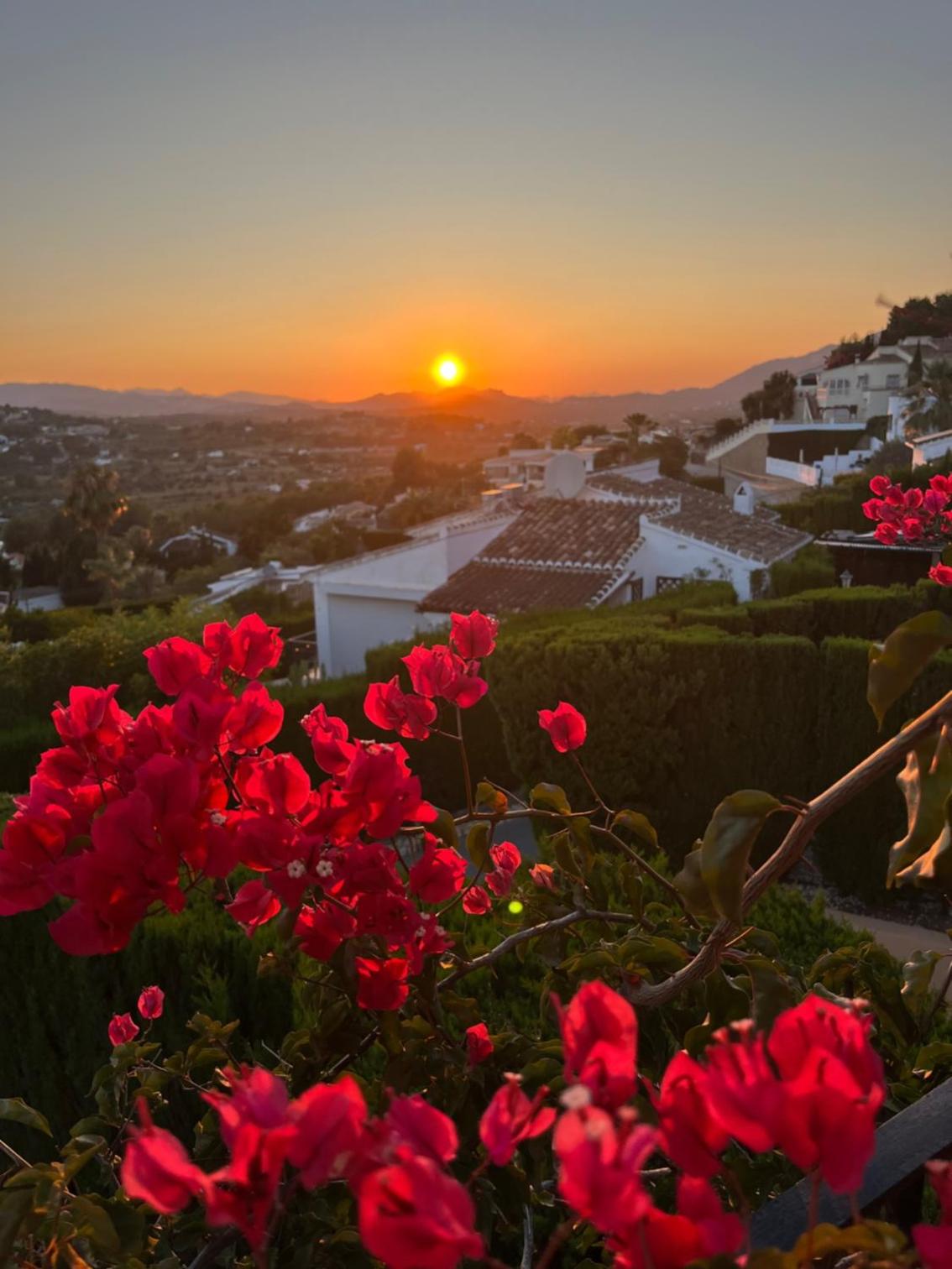 Authentic groundfloor apartment in beautiful villa, Javea