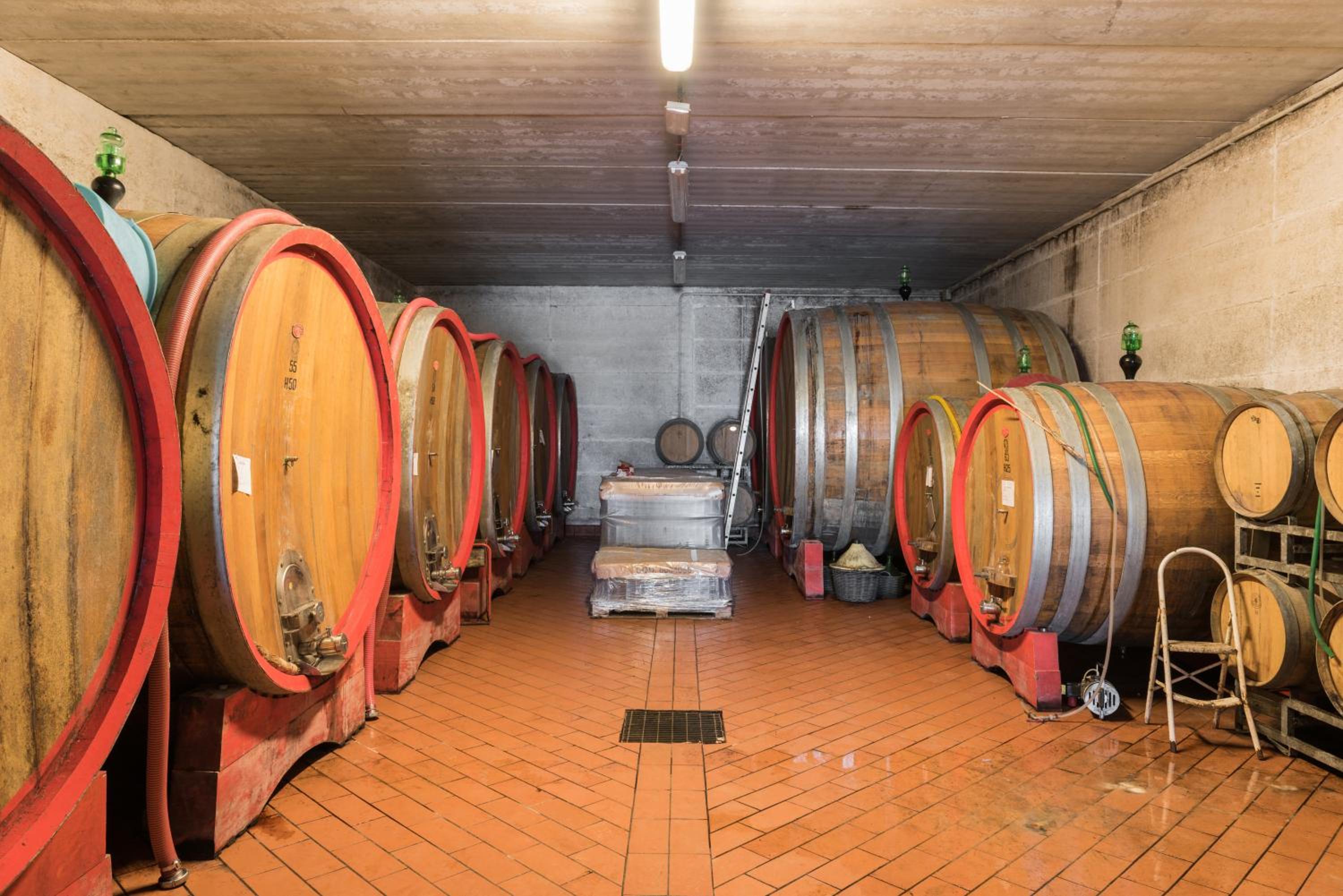 Appartamento Moraiolo
