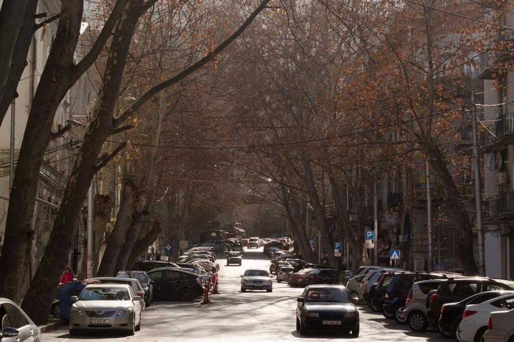 Large apartment in city center with household help view 4