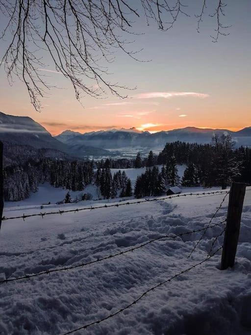 Neu - Ferienhaus Moritz & Josie zur Alleinnutzung