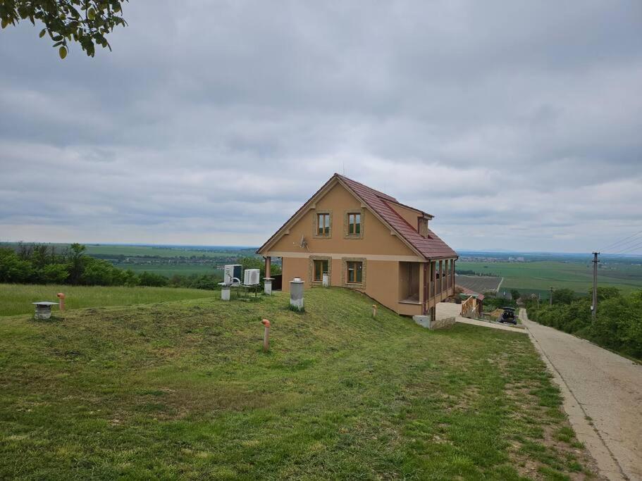 Photo 45