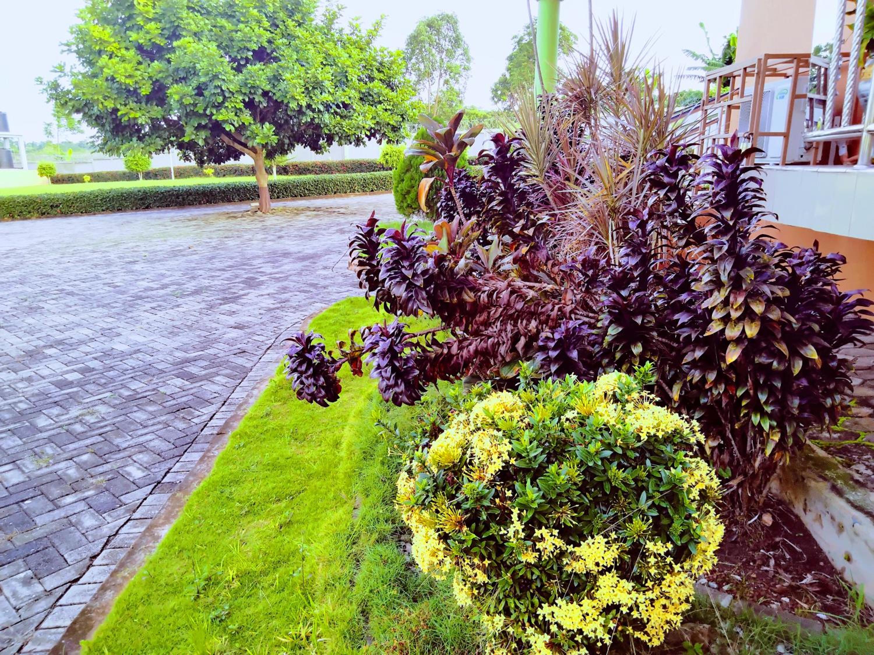 Photo 15