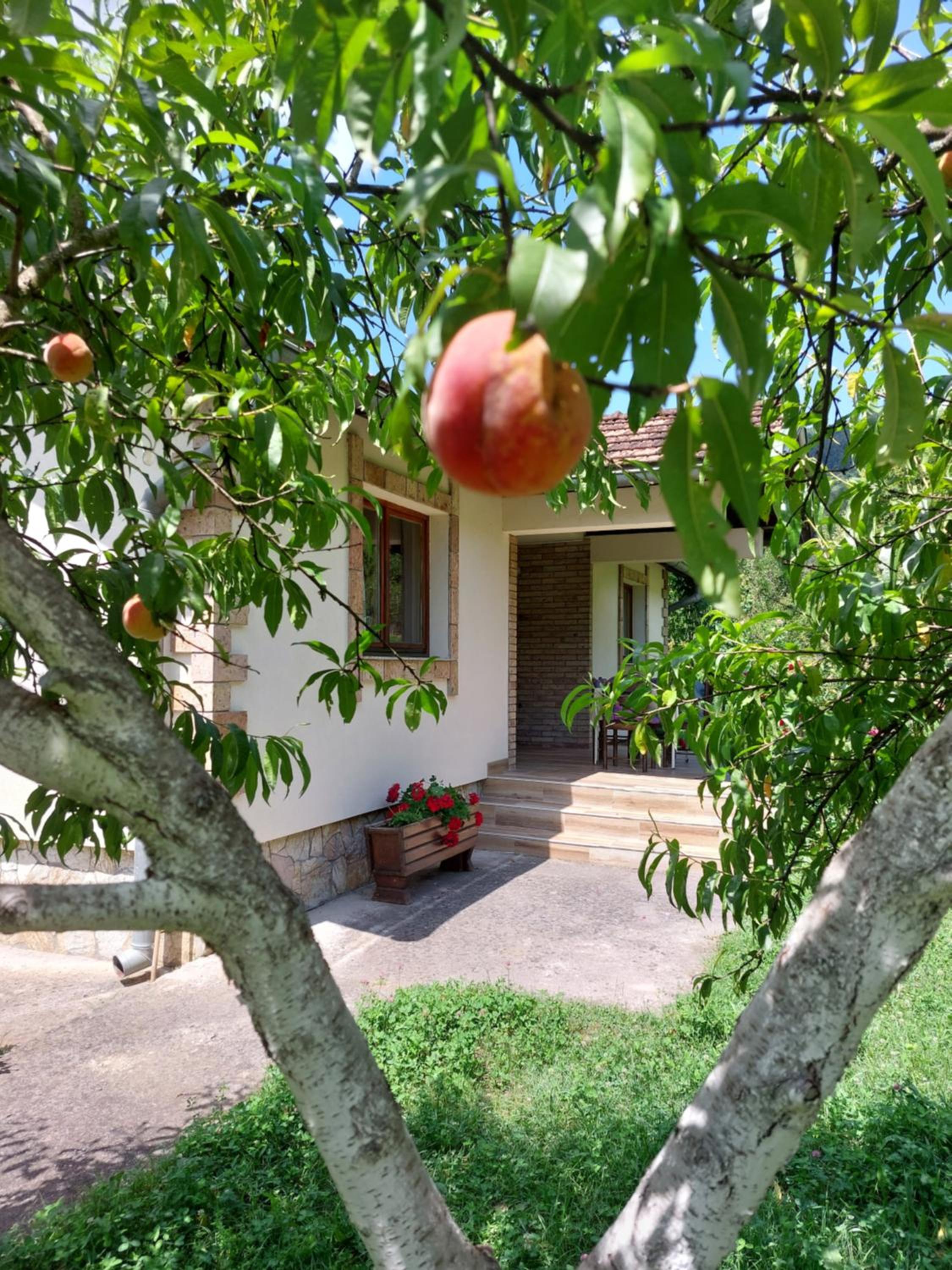 Kuća za odmor 