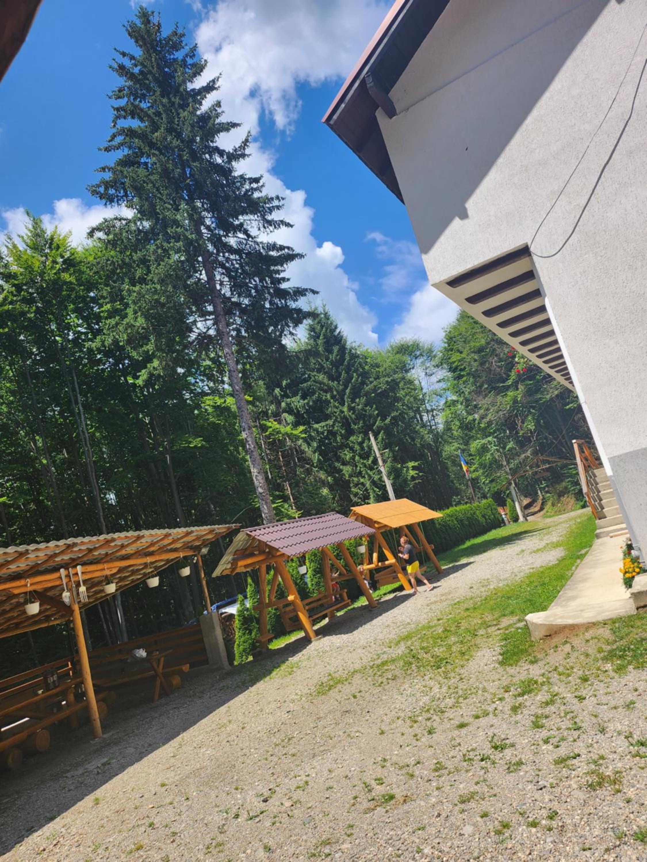 Cabana Valea Bradului view 5