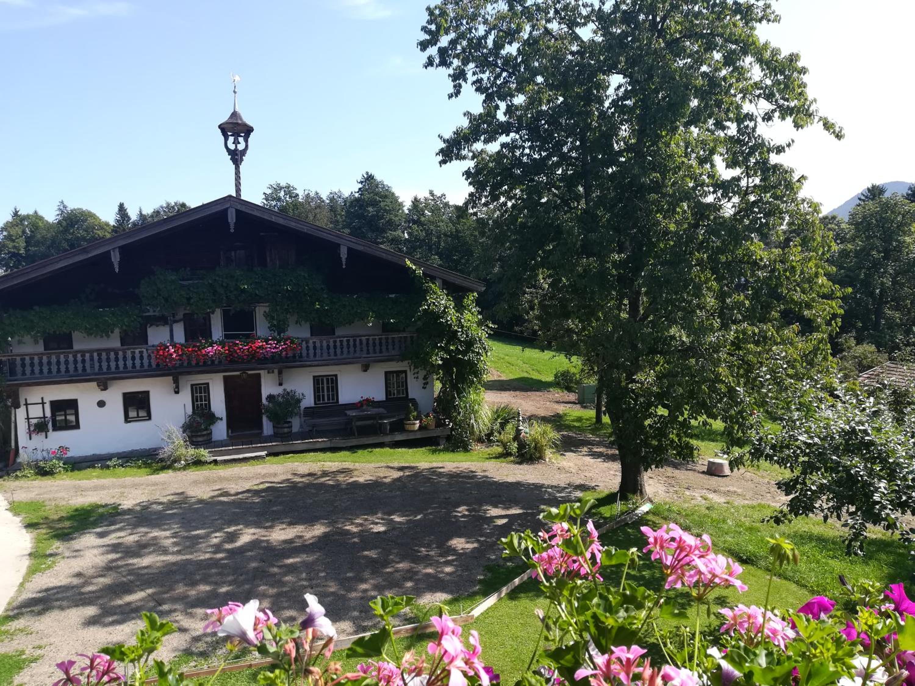 Fischlehen