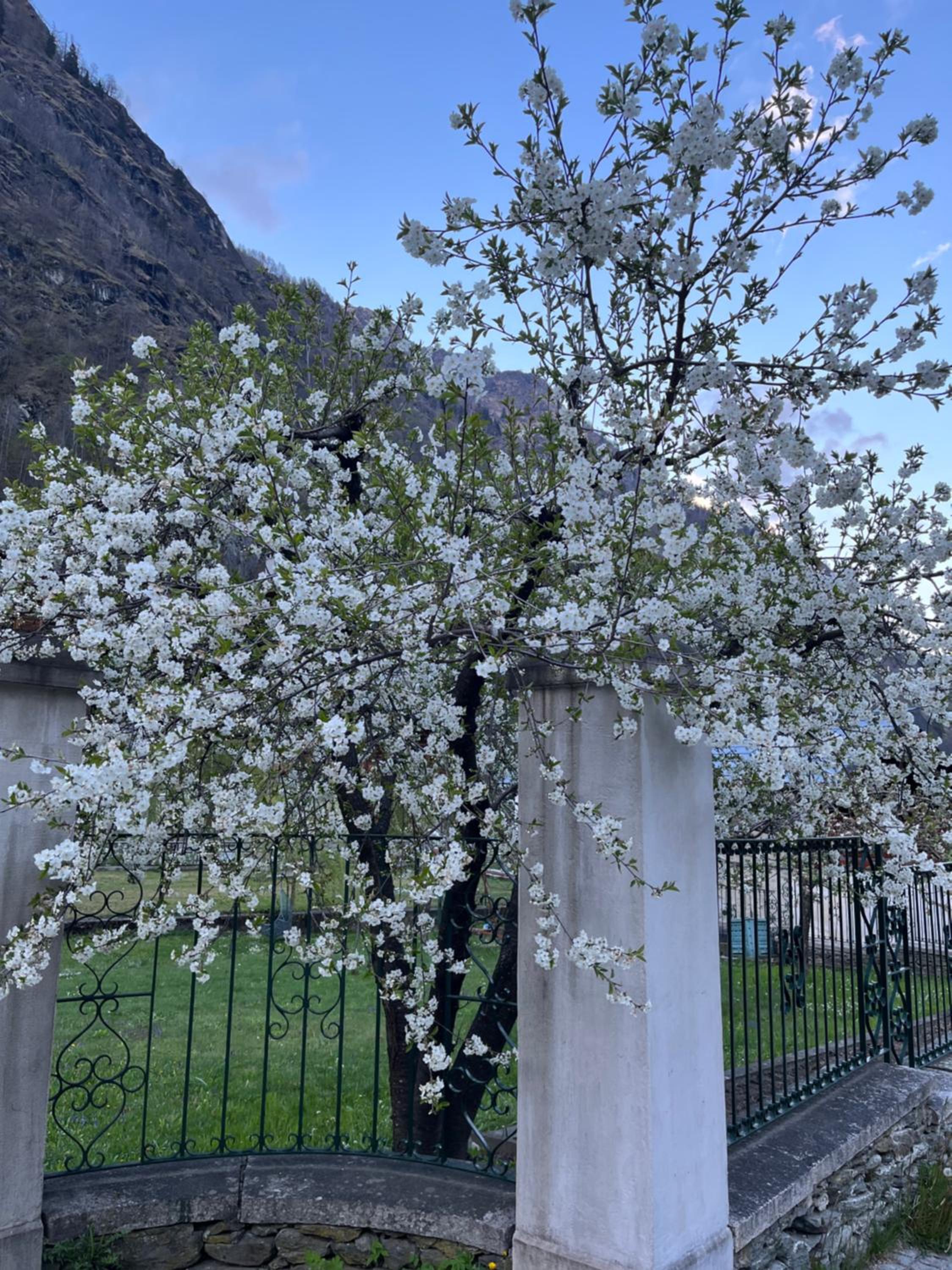 L'aria di Casa