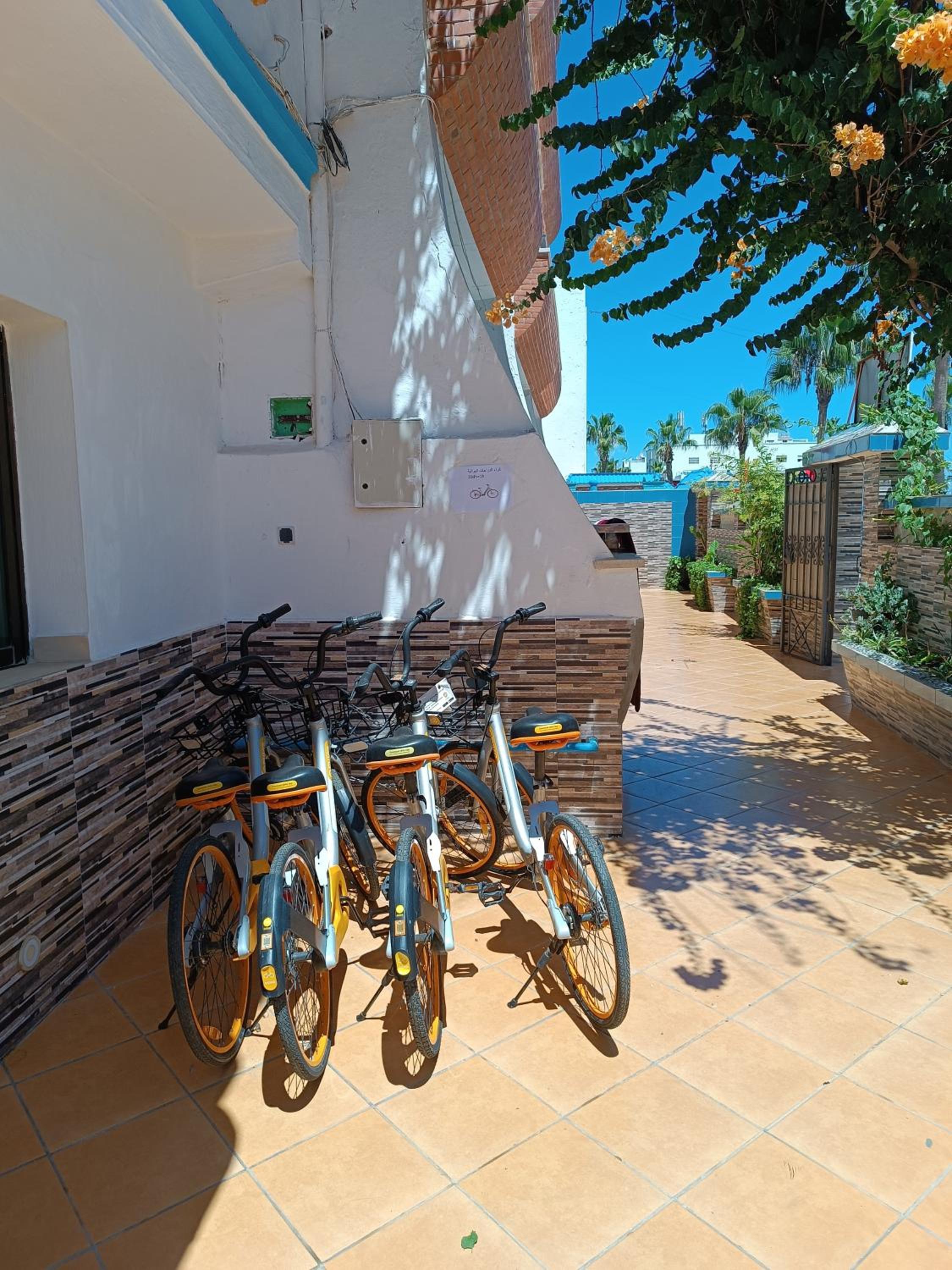activities & amenities