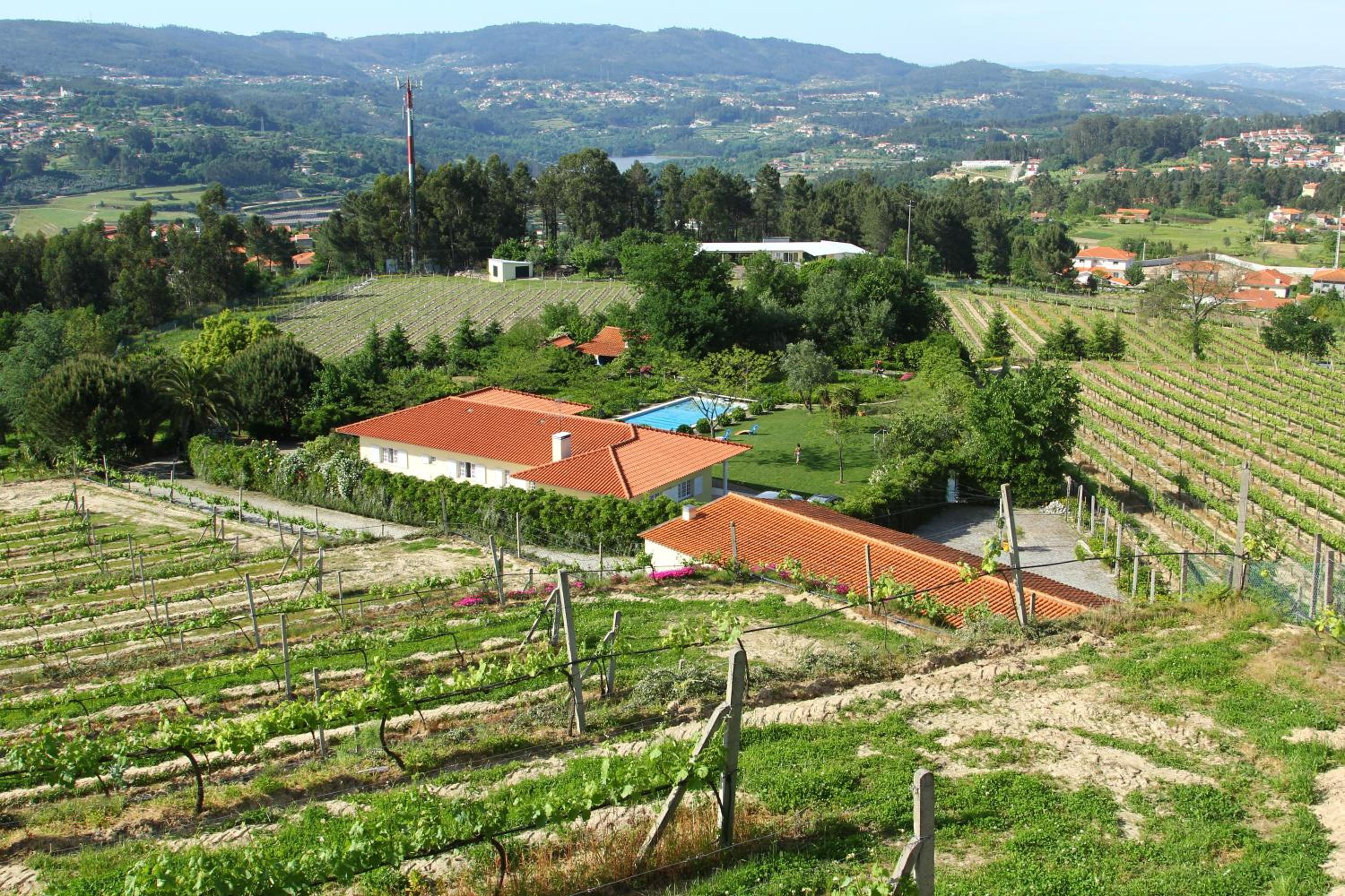 Quinta do Pinheiral view 5