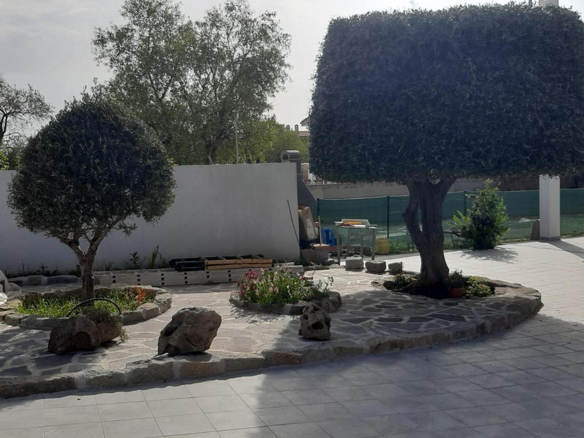 Photo 22