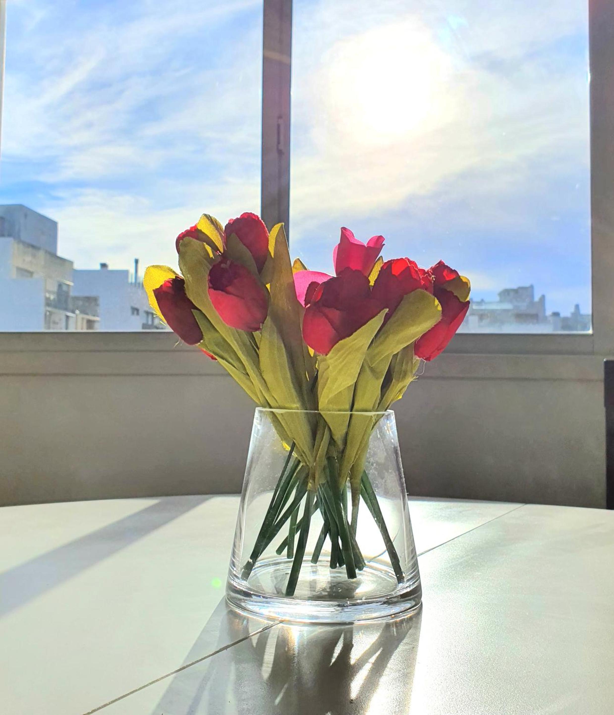 Sol de Palermo