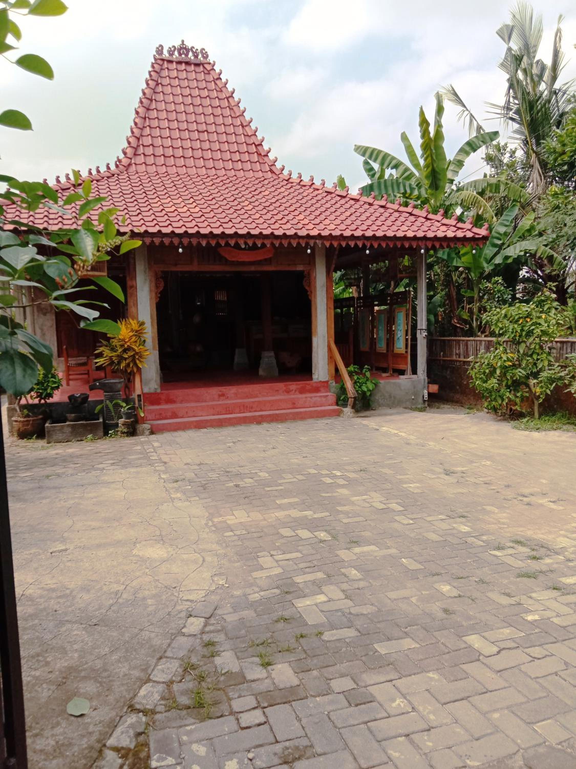 Photo 6