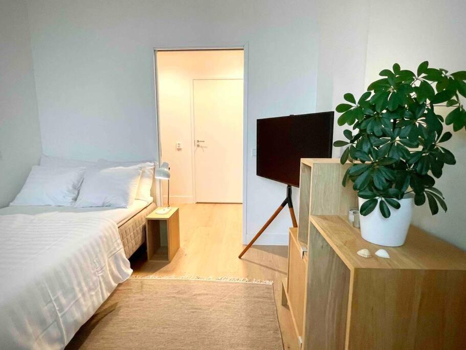 Stunning 90 square meter apart with 3br + rooftop view 4