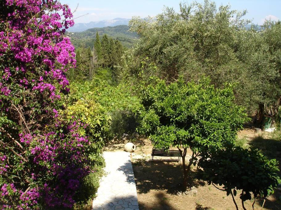Despina's Home view 4