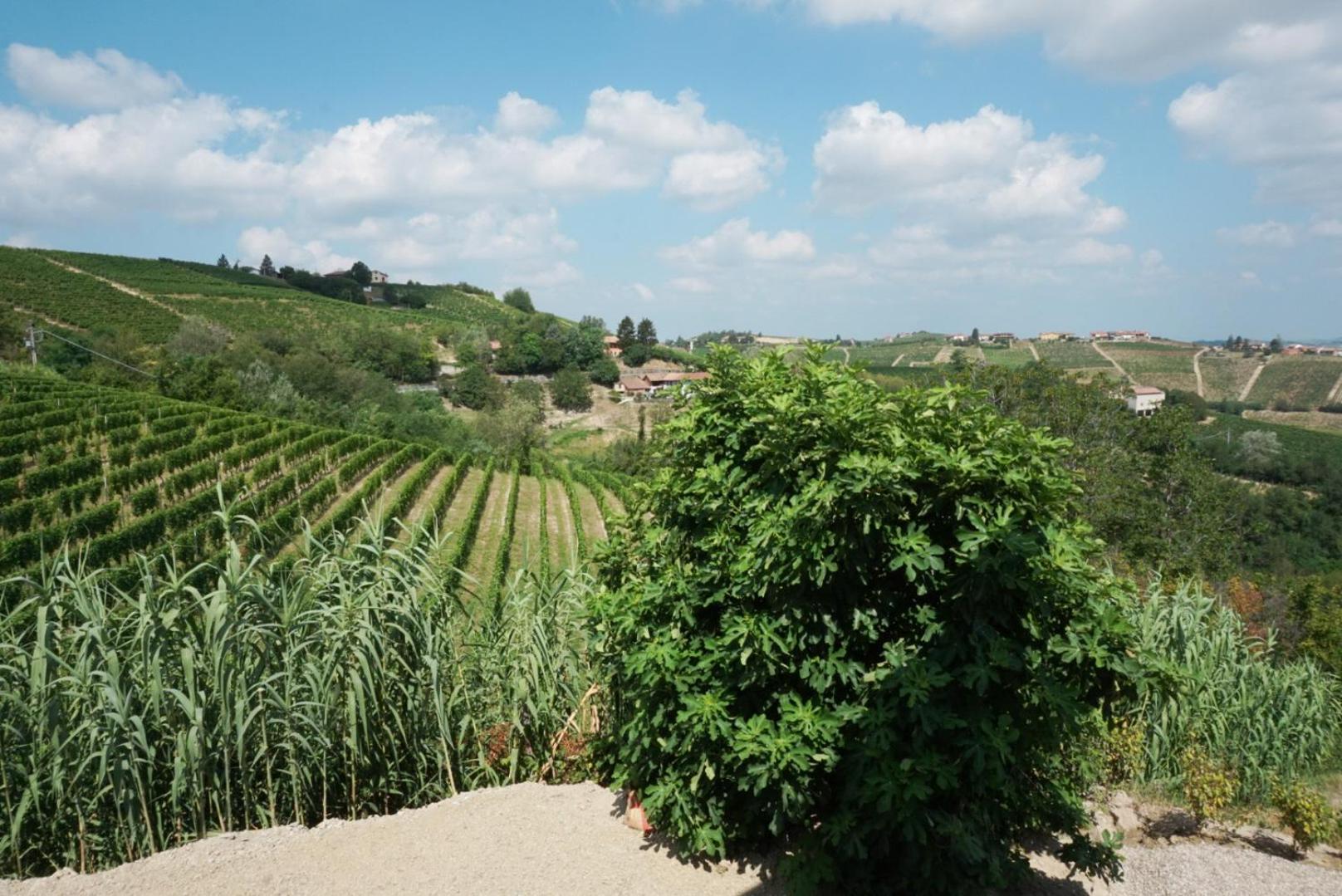 Cascina Canelli