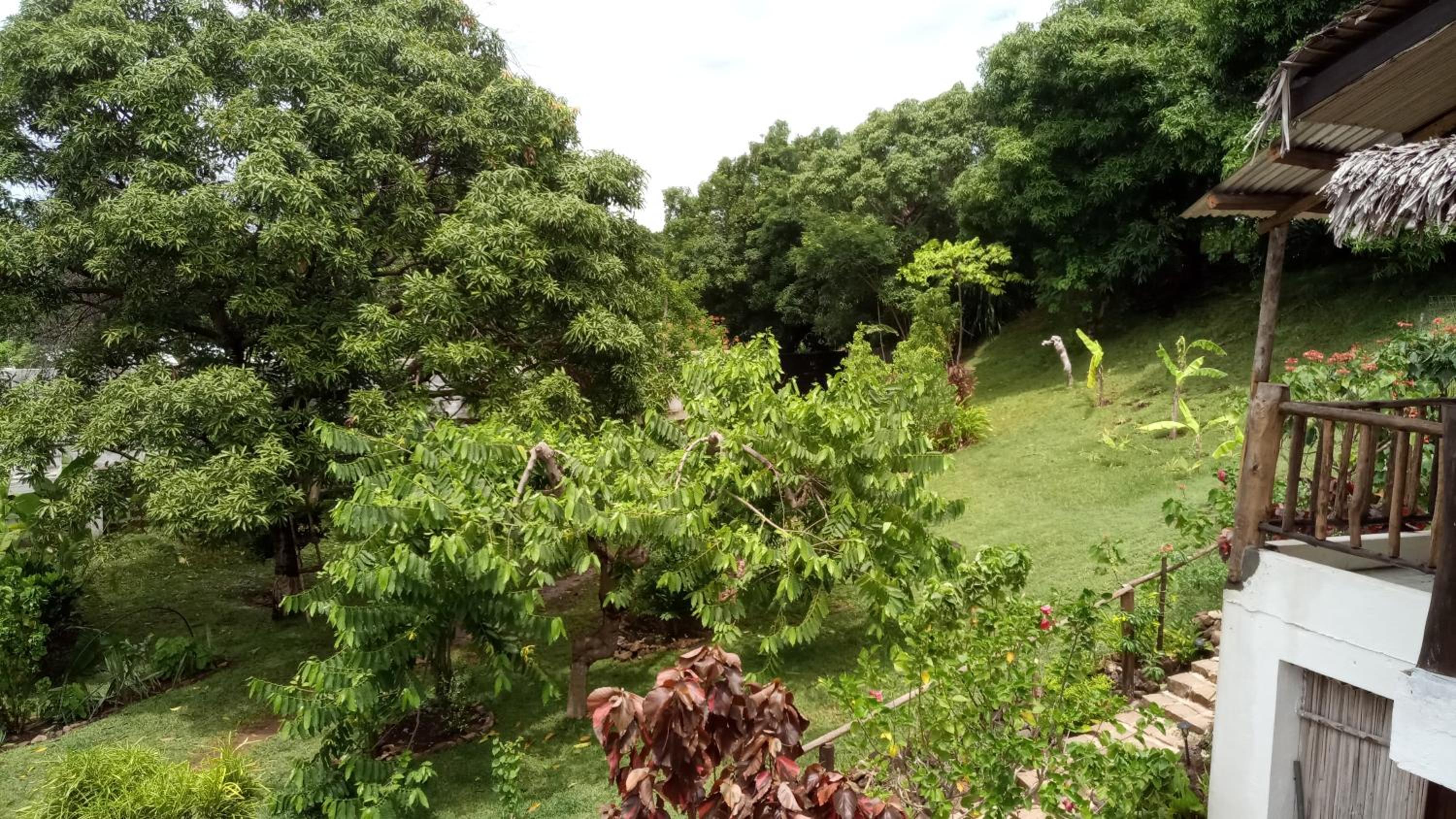 L'OUSTAL DE NOSY BE view 4