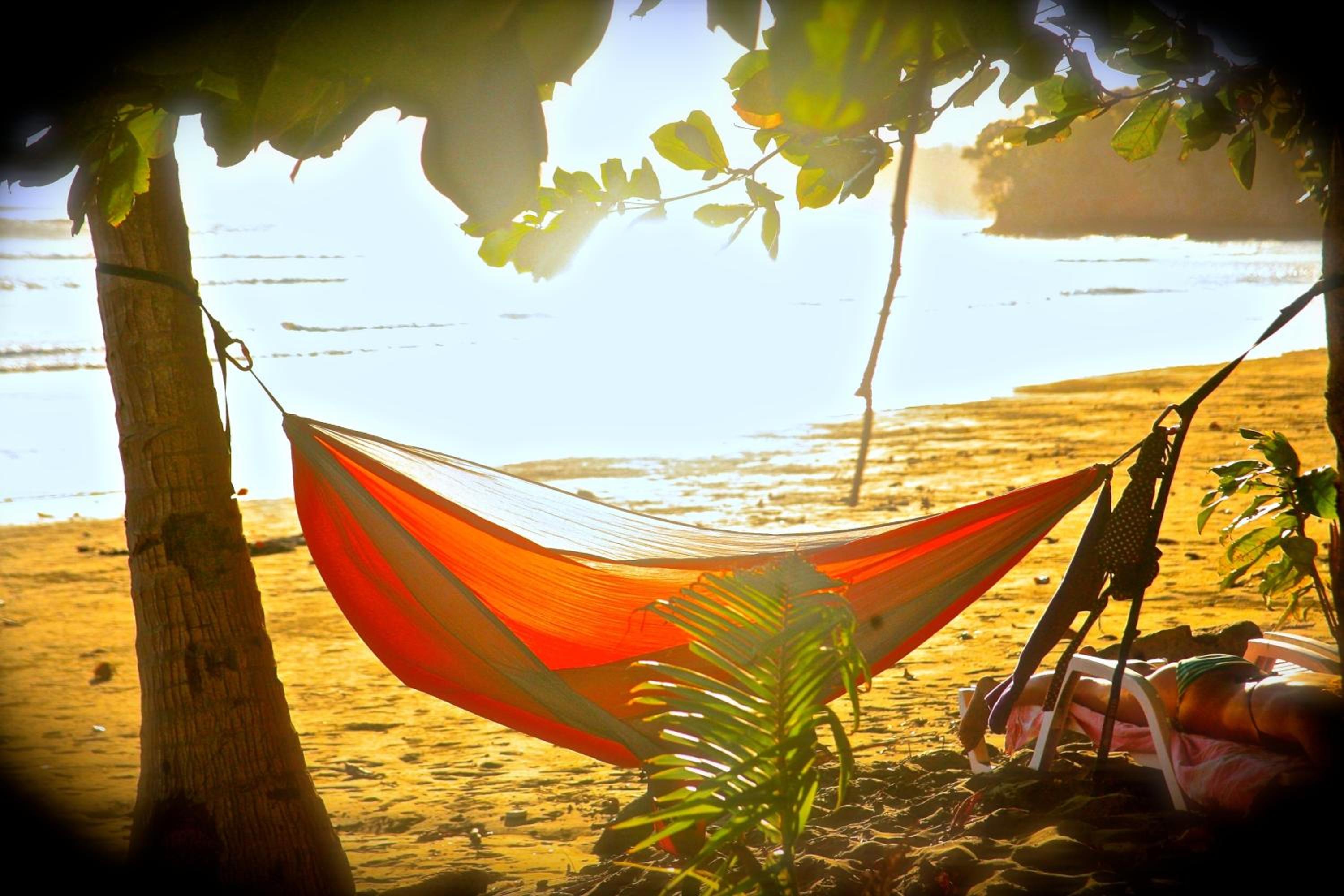 Photo 58