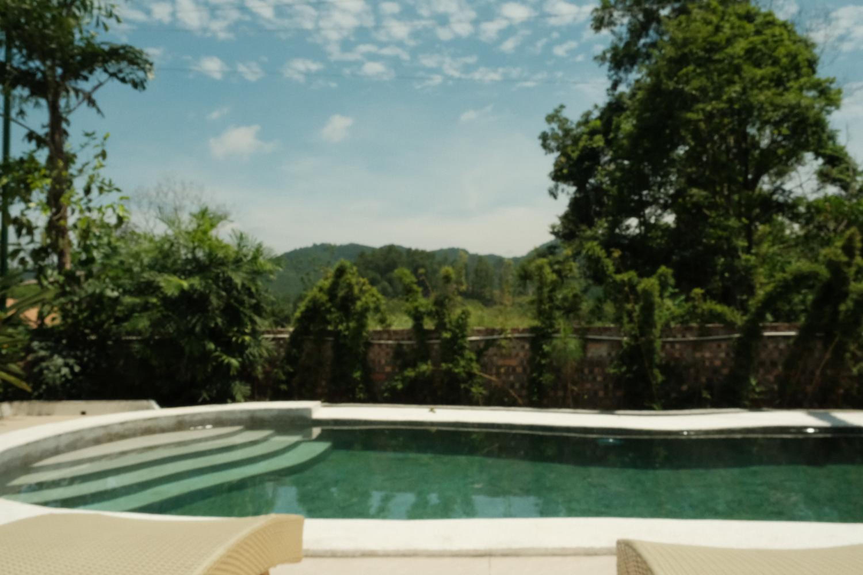 Rose house - homestay trong rừng view 4