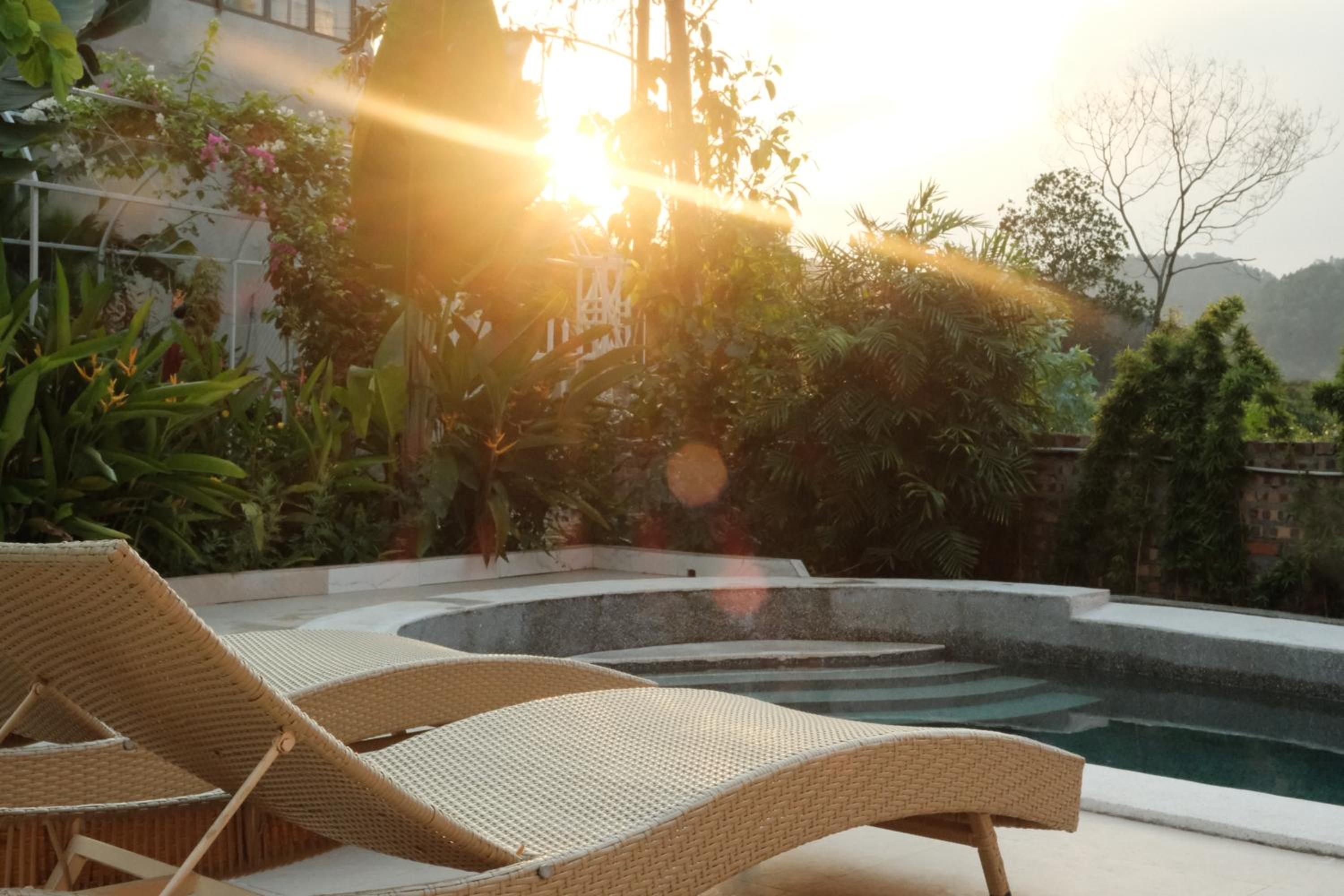 Rose house - homestay trong rừng view 3