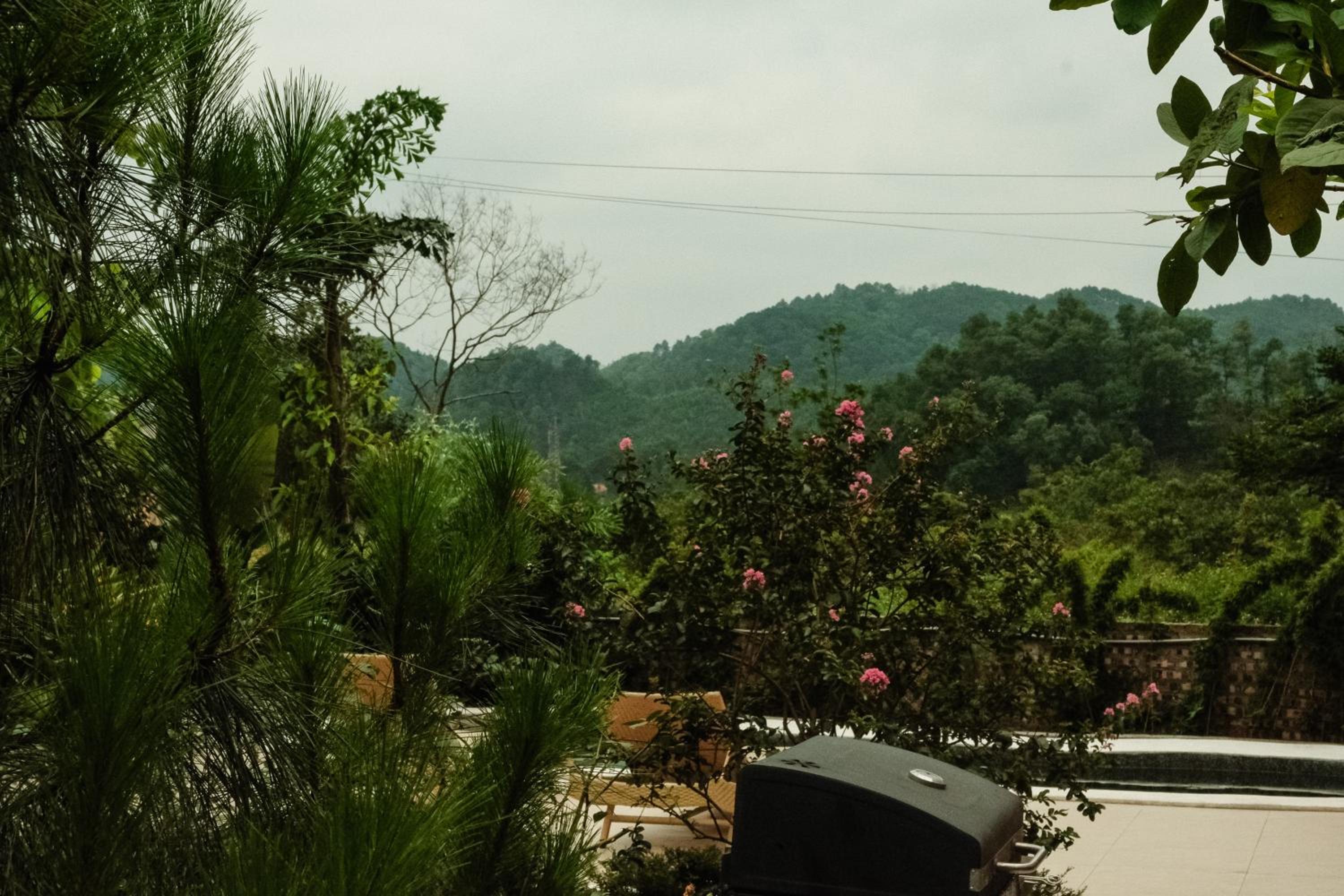 Rose house - homestay trong rừng view 5
