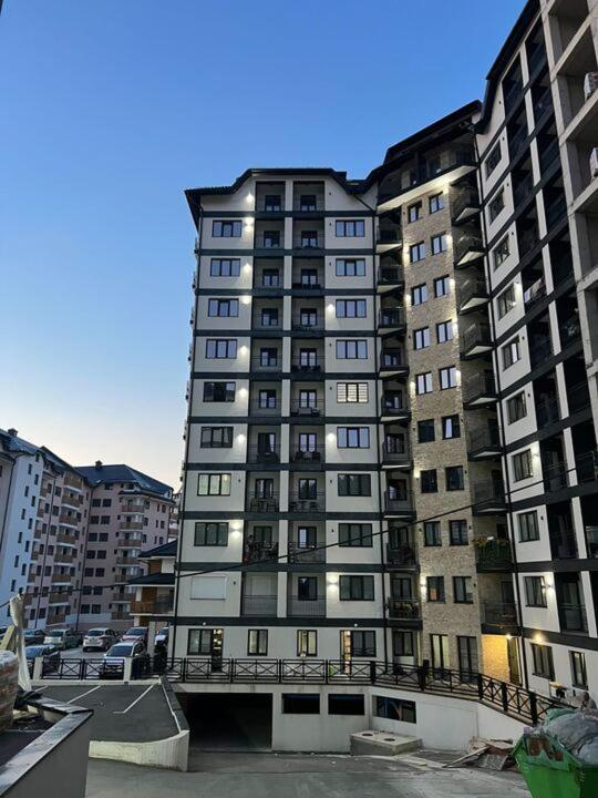 Black Bear Apartment