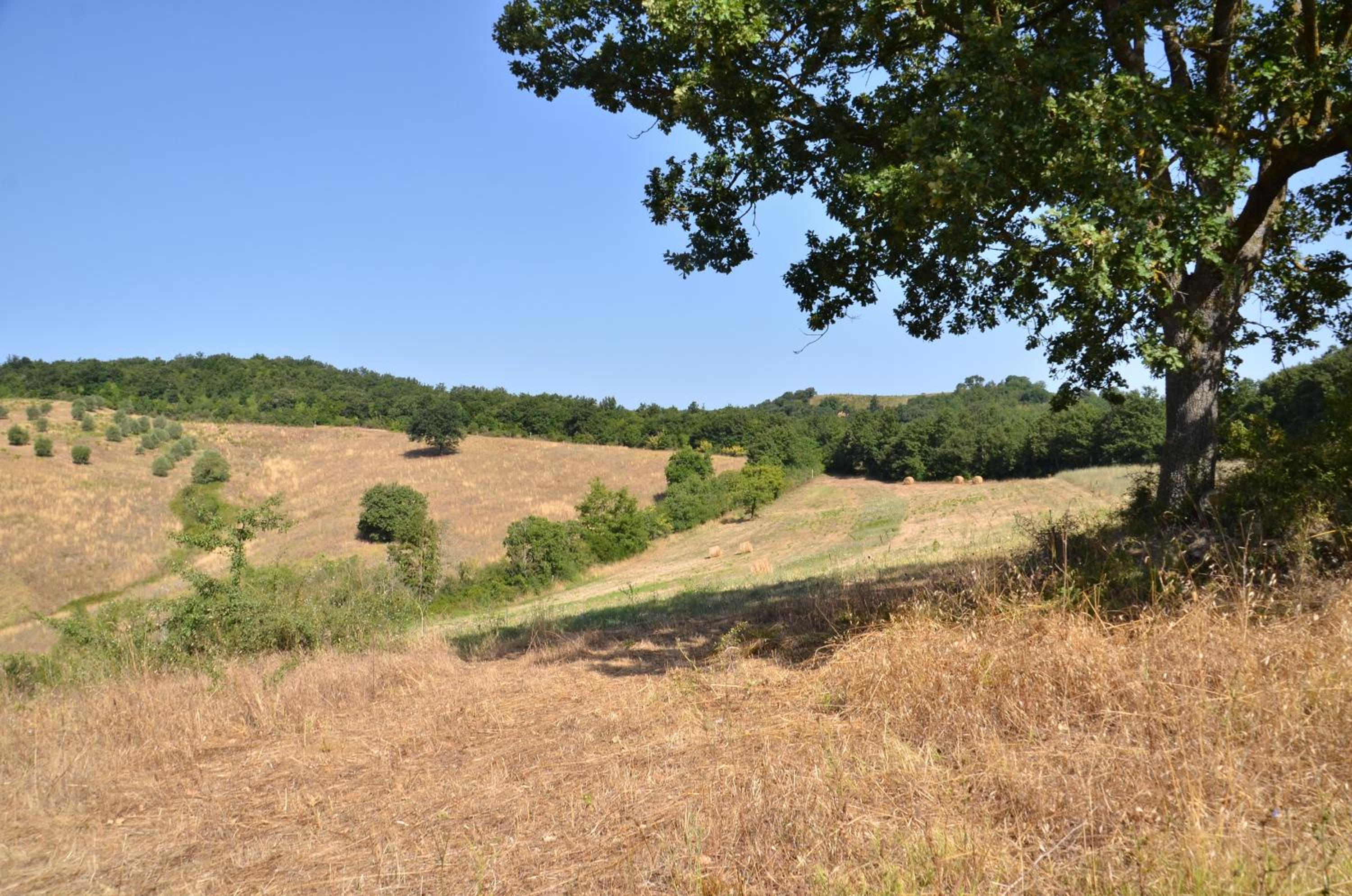 Agriturismo La Steccaia Alta