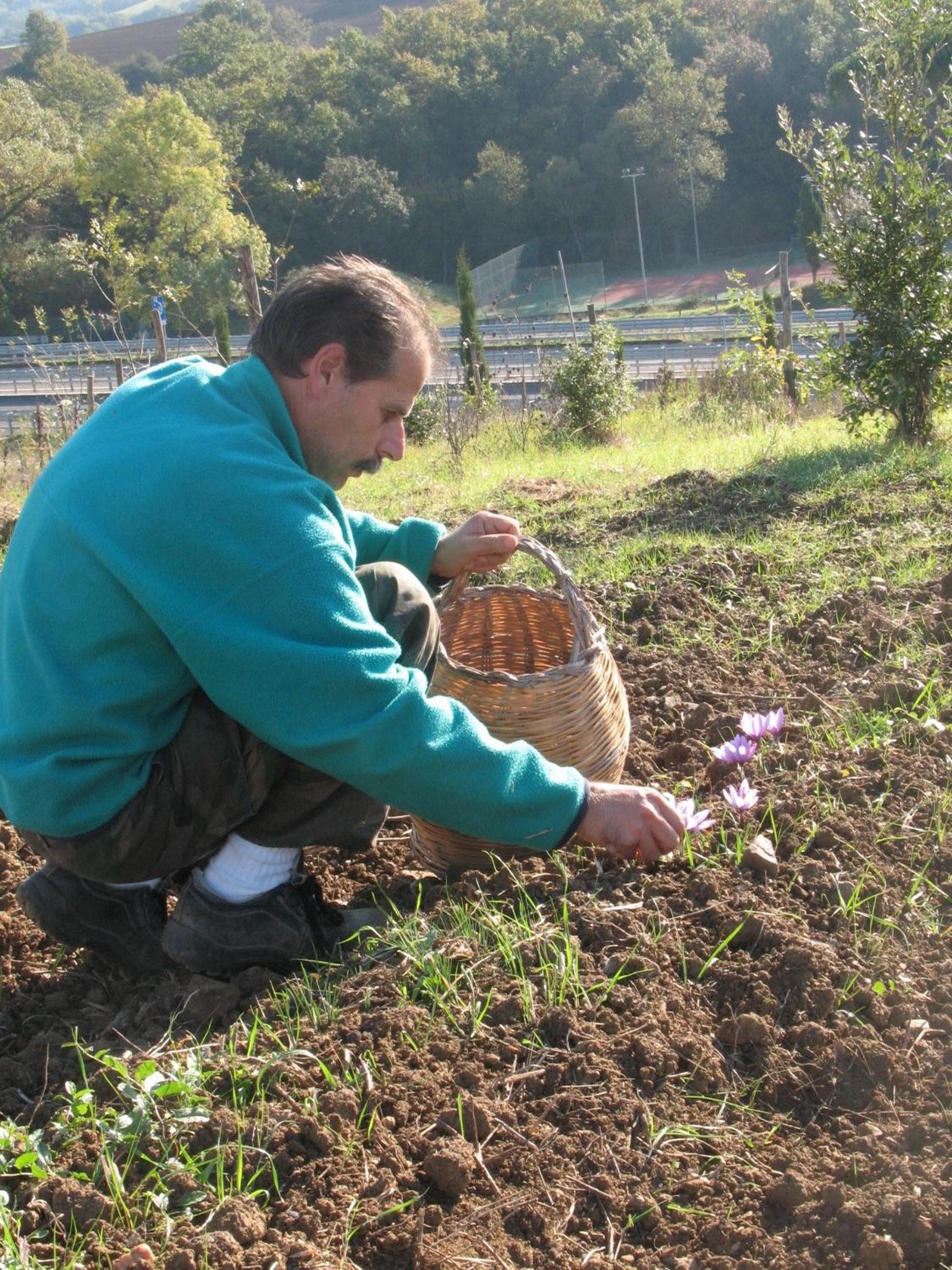 Agriturismo La Steccaia Alta