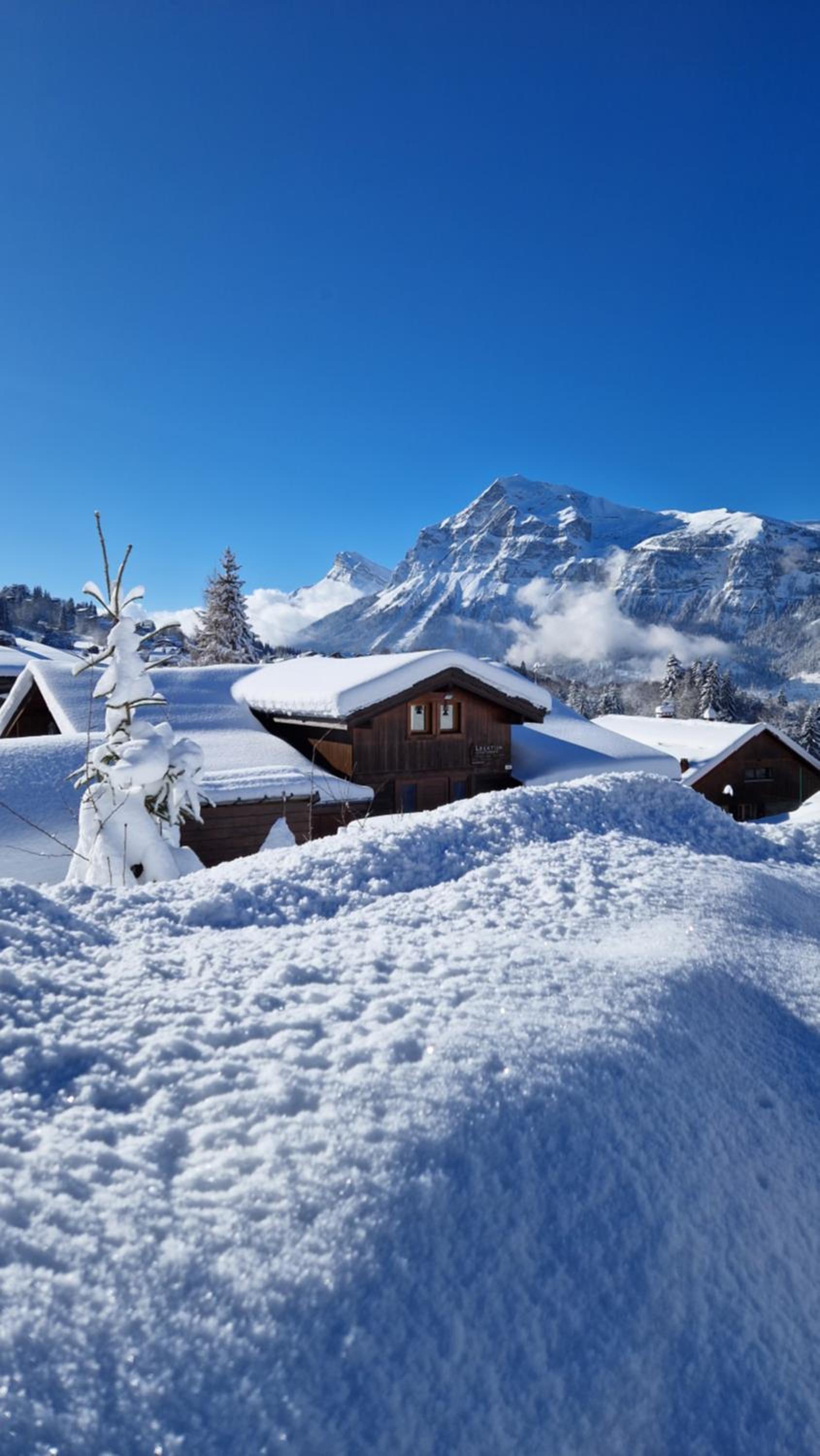 Demi-Chalet Le Bief --Prox pistes photo 3