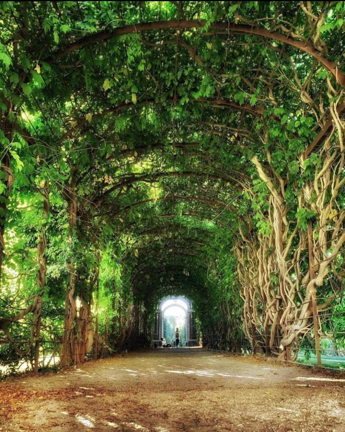 10 min walk to Schonbrunn l Deluxe Suite