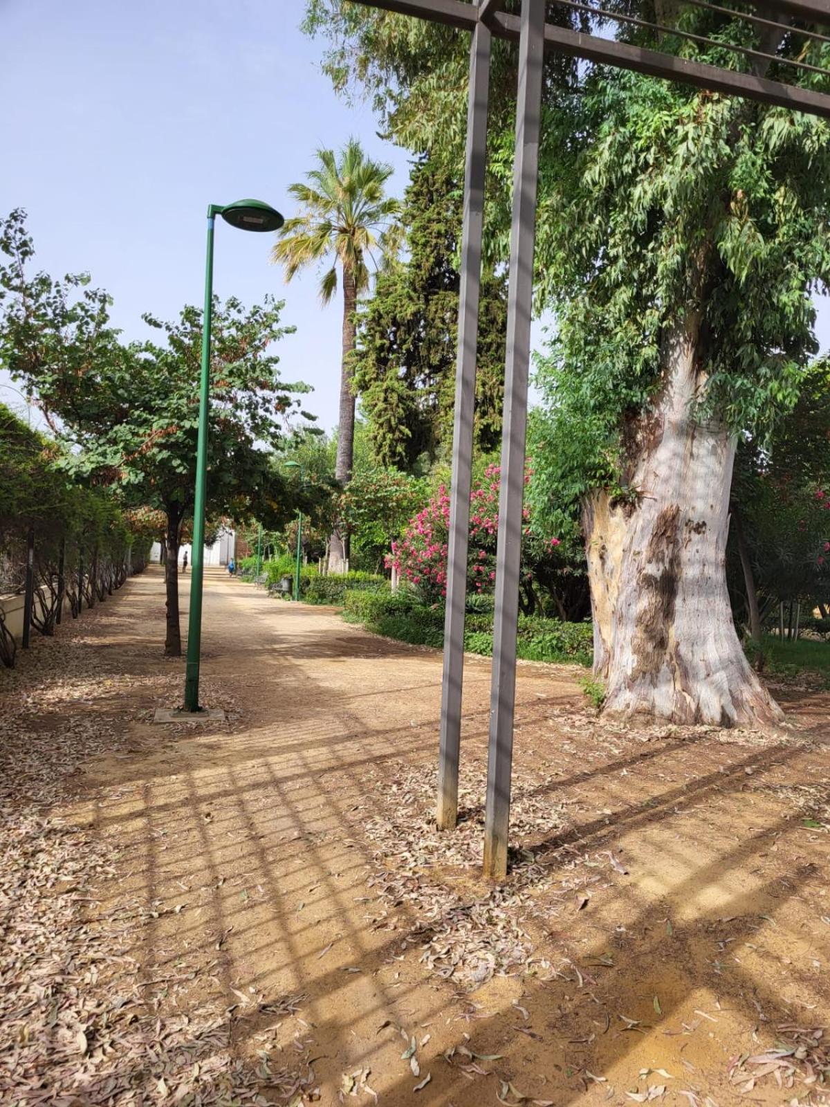 Jardines del Valle, Historical Center, 5 pax view 4