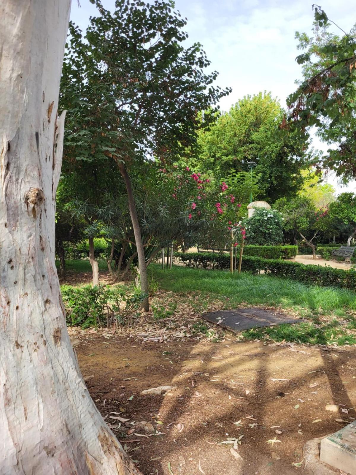 Jardines del Valle, Historical Center, 5 pax view 5