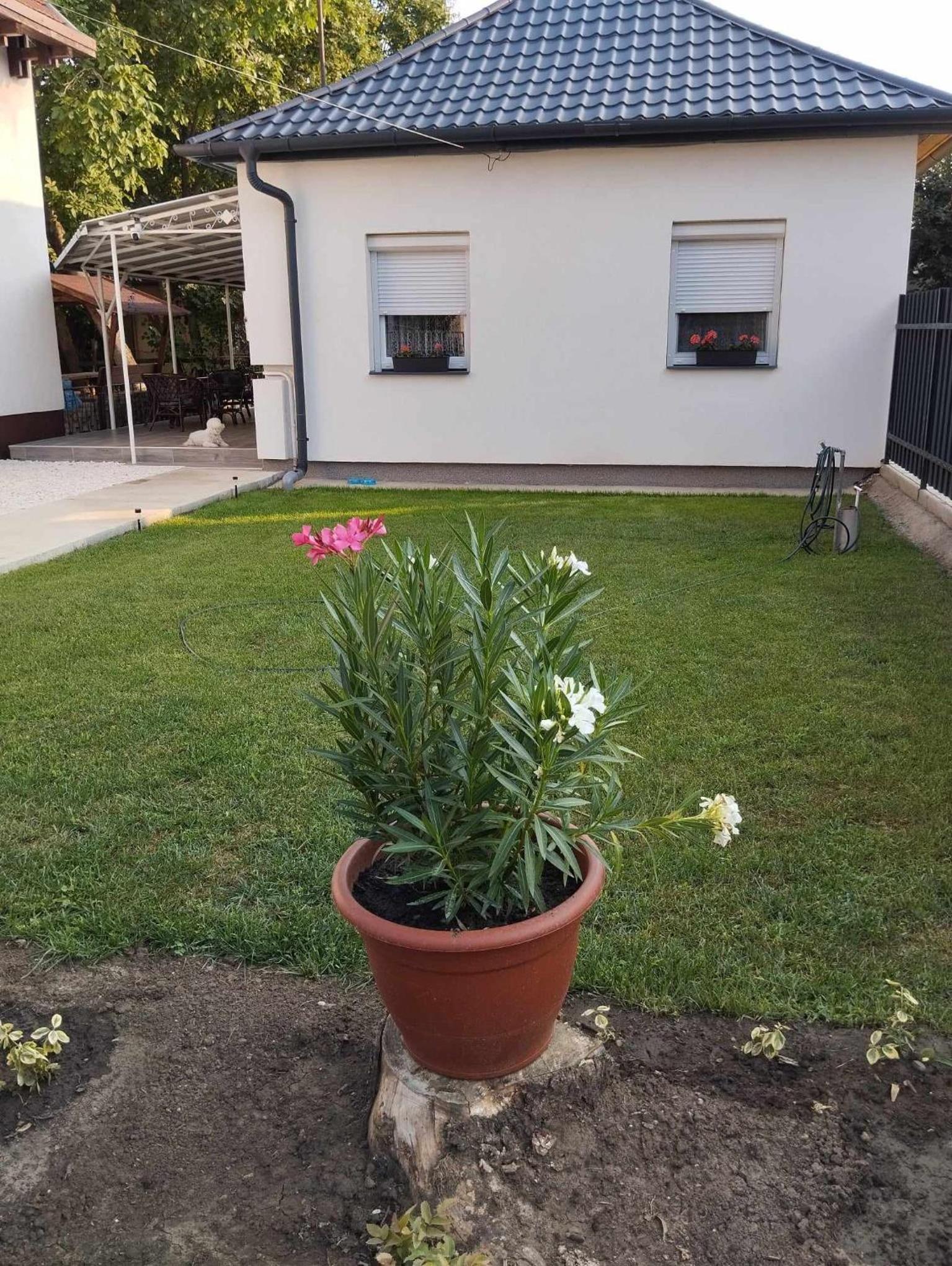 Stella Apartman