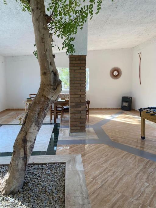Masía con bosque privado