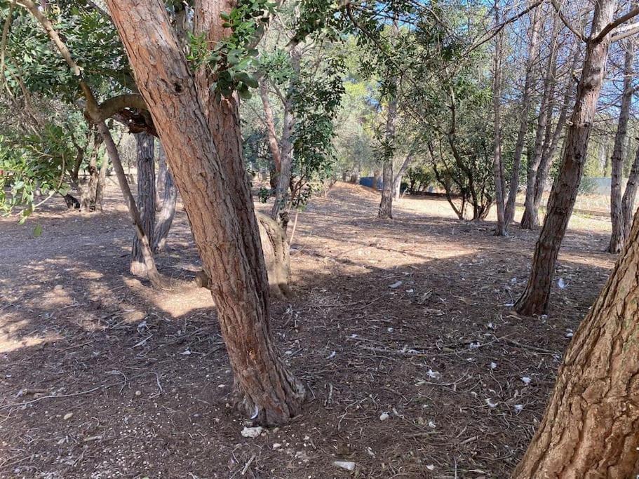 Masía con bosque privado
