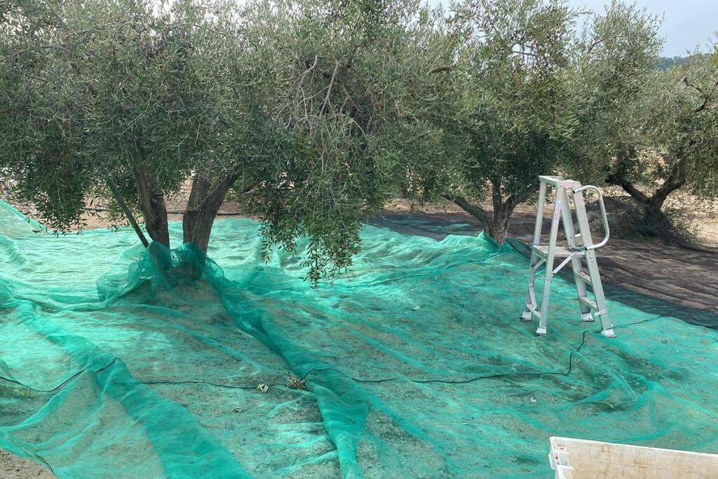 Masía con bosque privado
