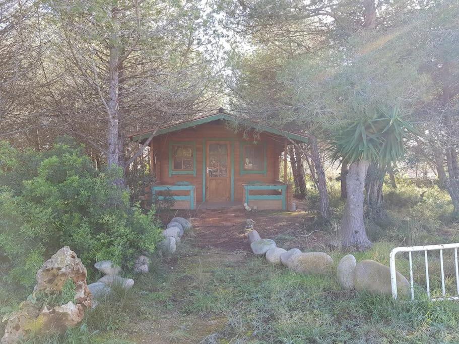 Masía con bosque privado