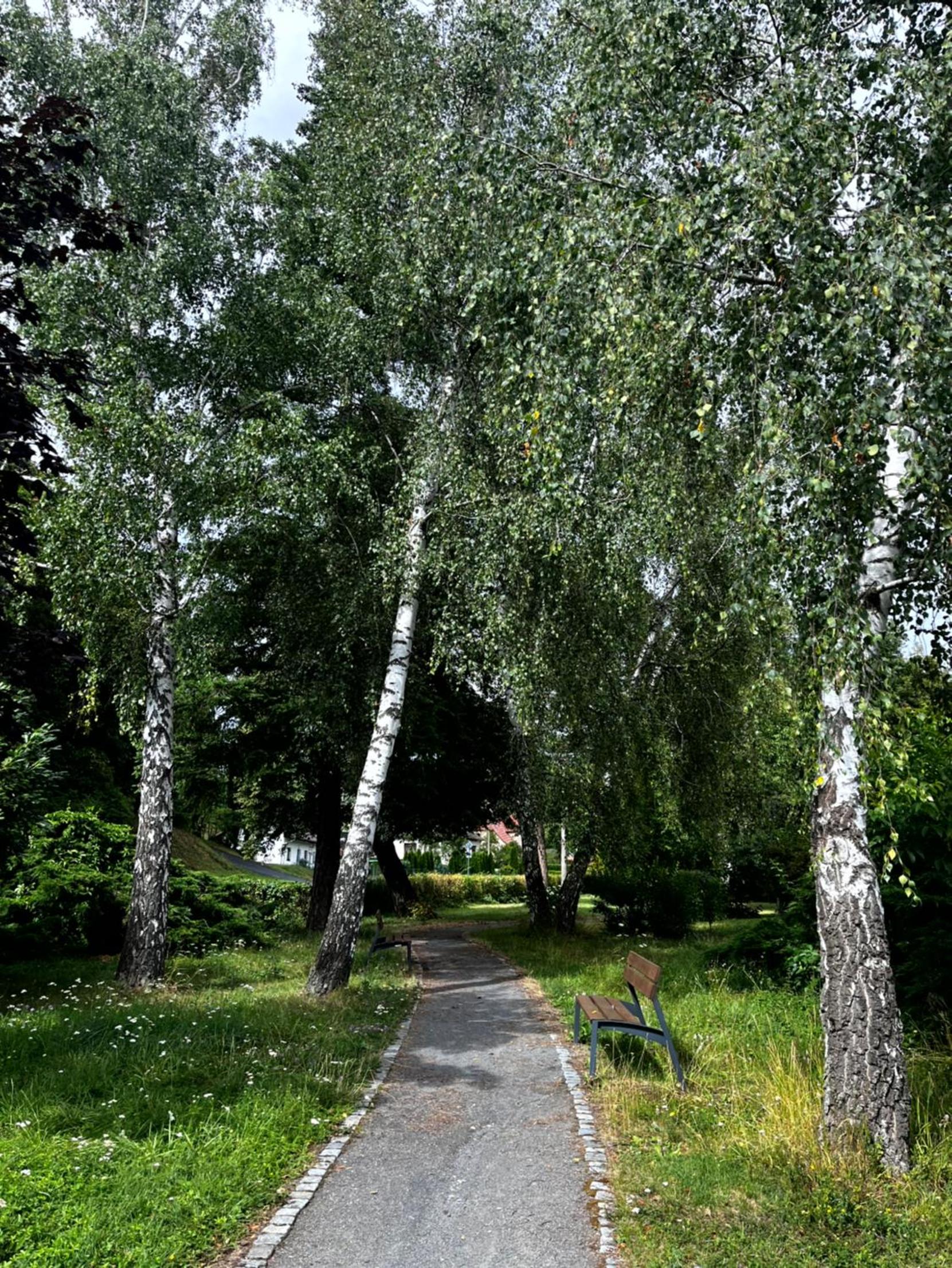 BREZA HOUSE apartments