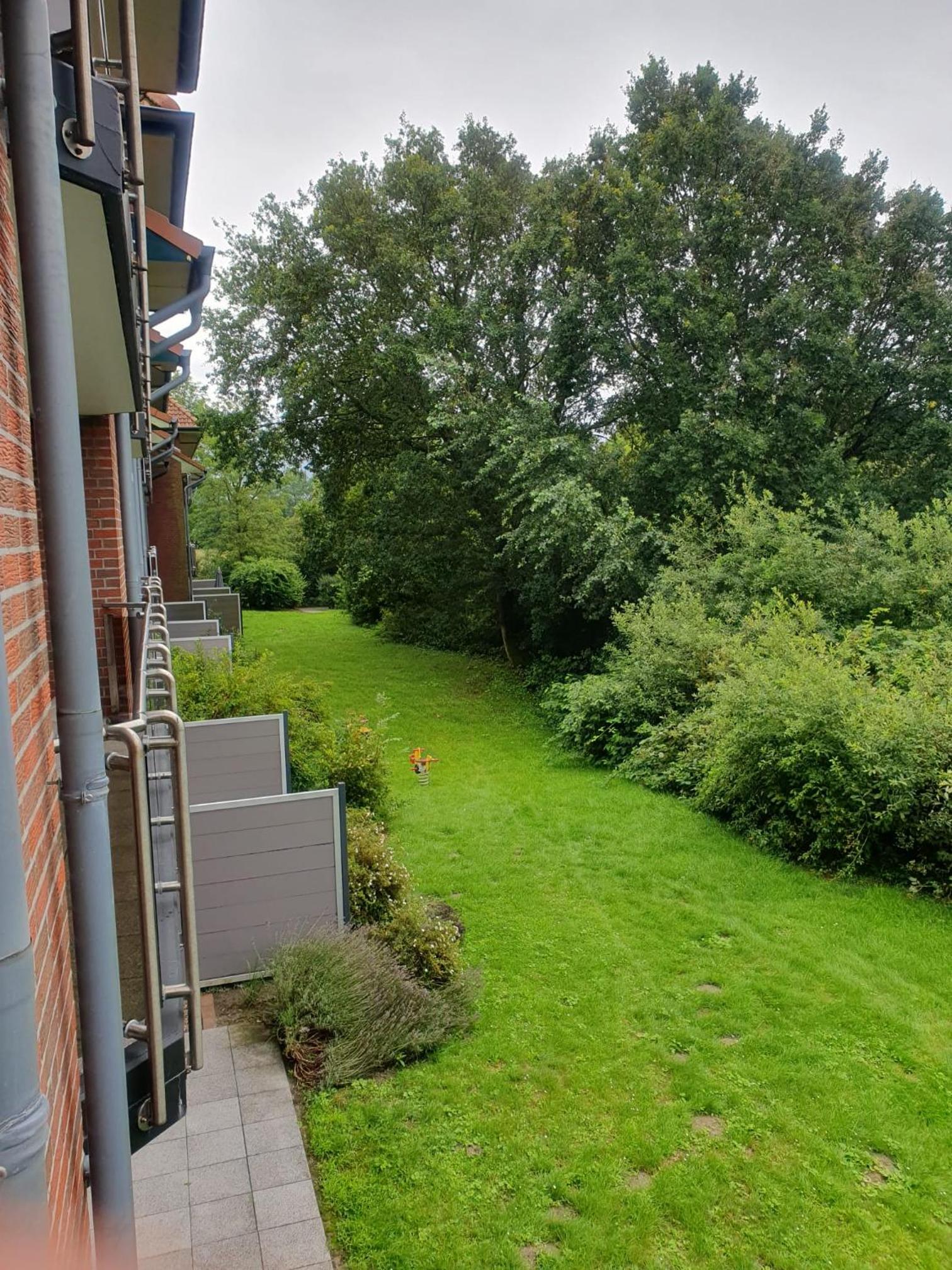 Mövenschiss