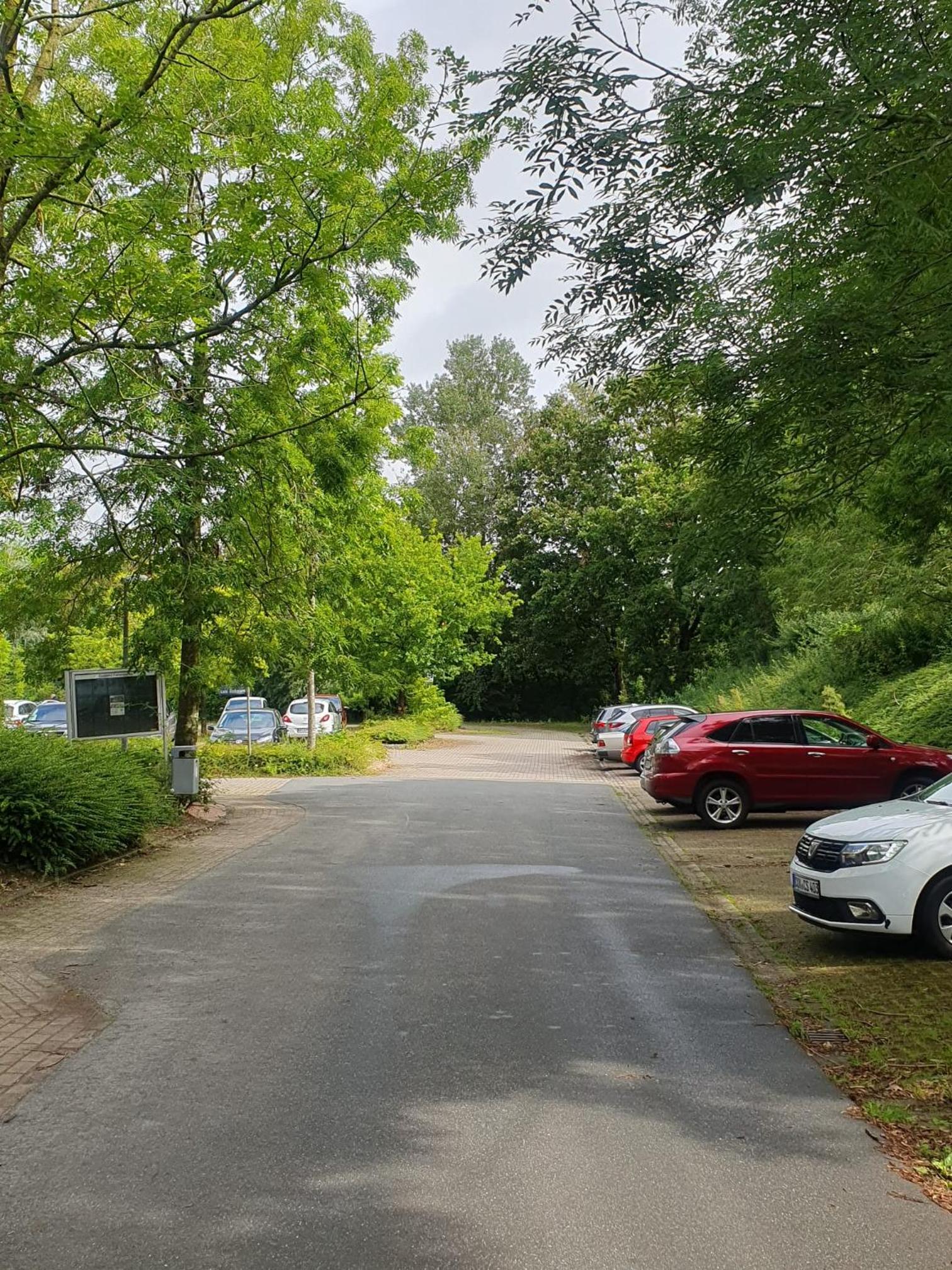Mövenschiss