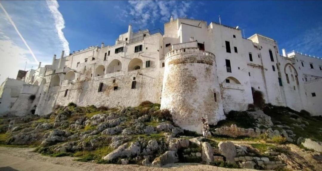 Casa Mirabilis 44