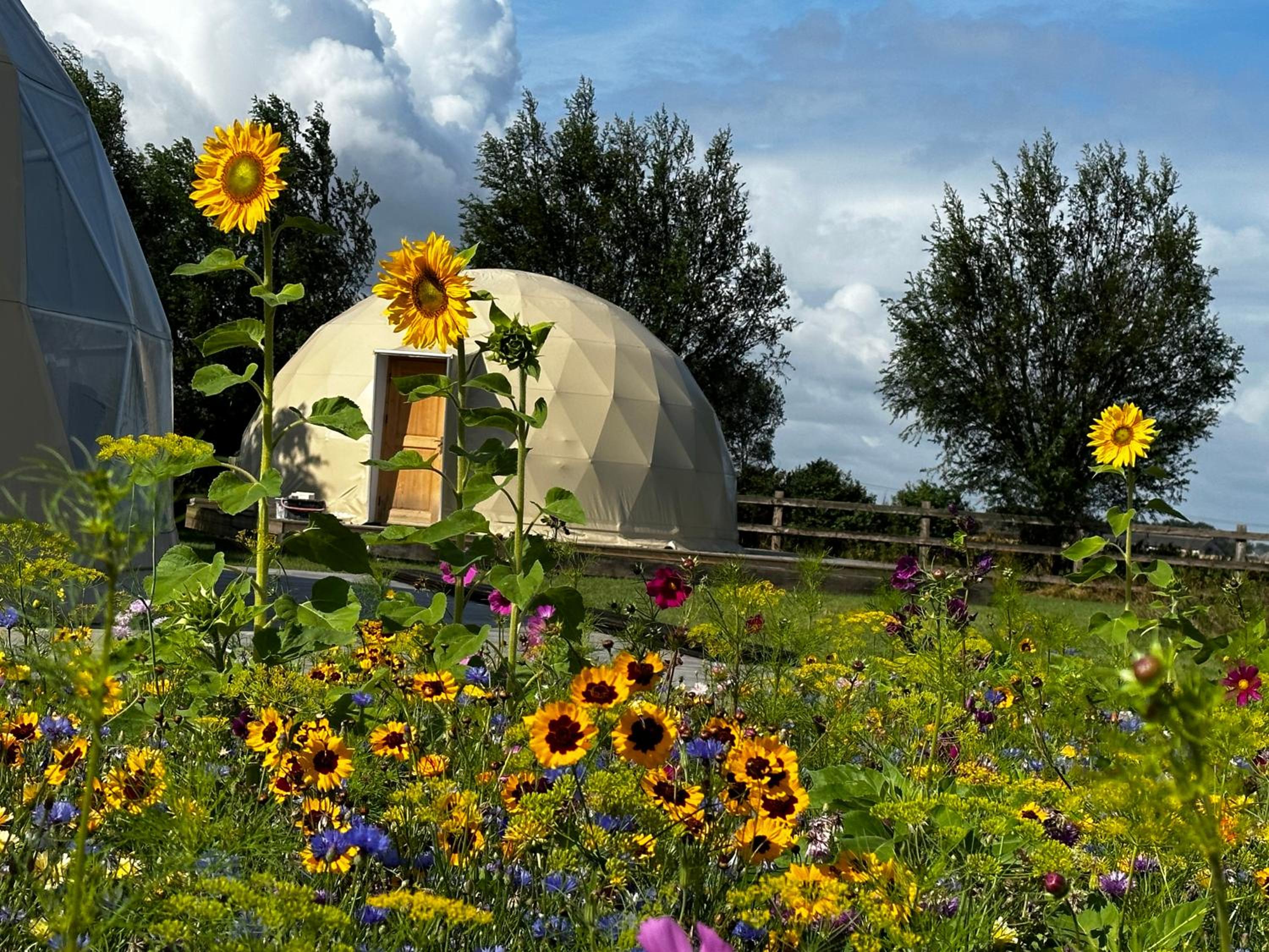 Glamping De Coude Scheure