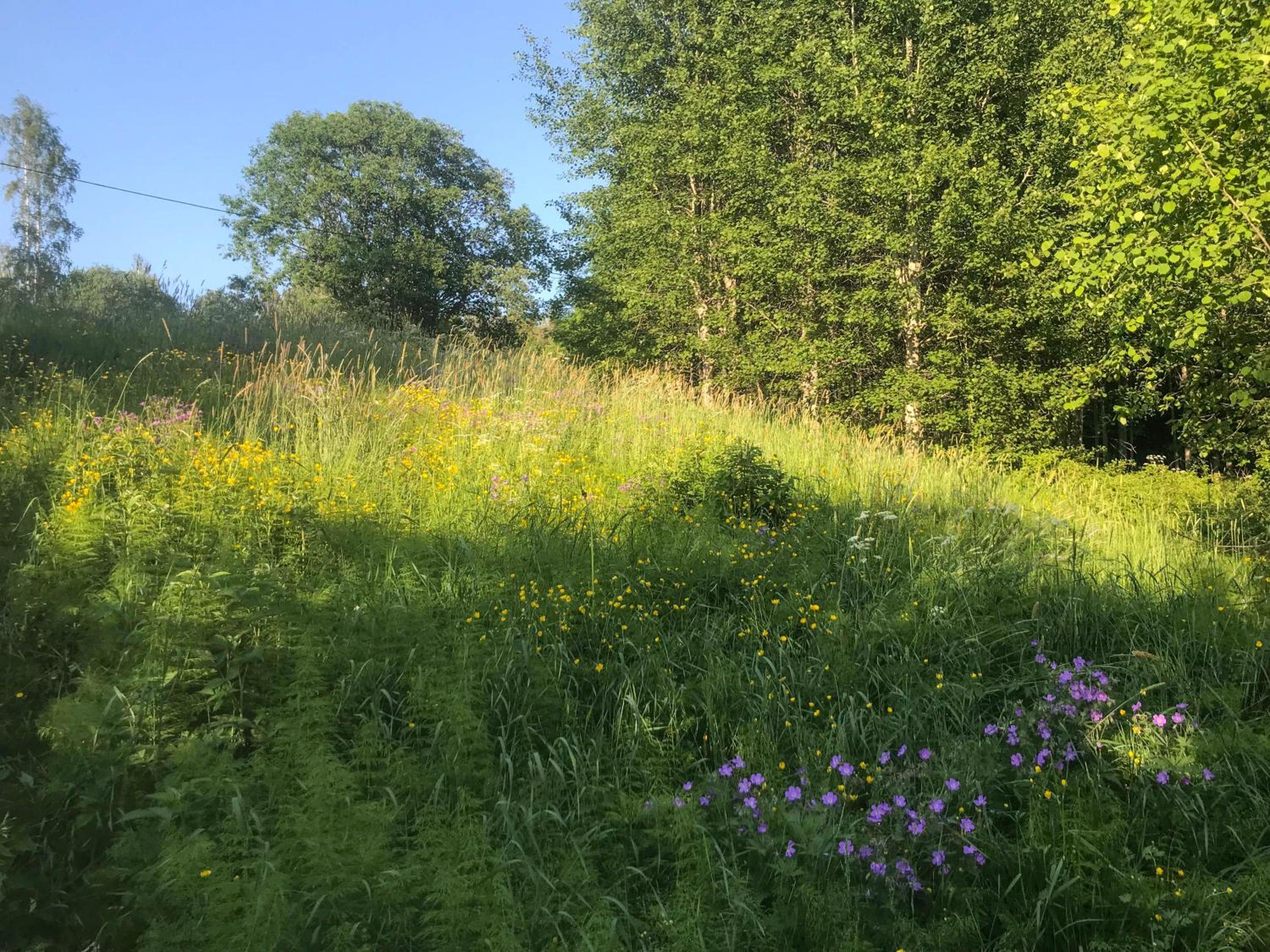 Lakeside Guesthouse, Lillstugan
