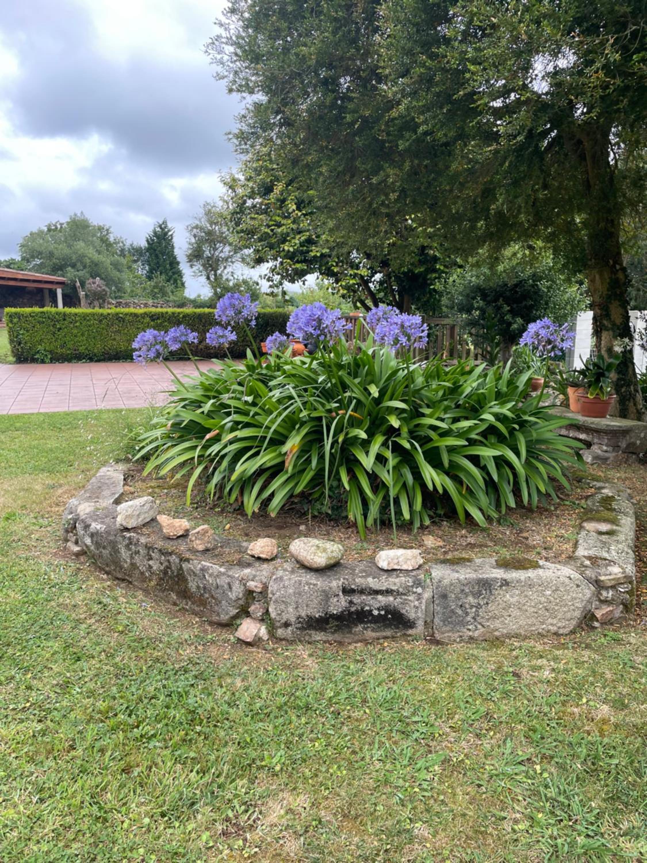 CASA DE PARDO