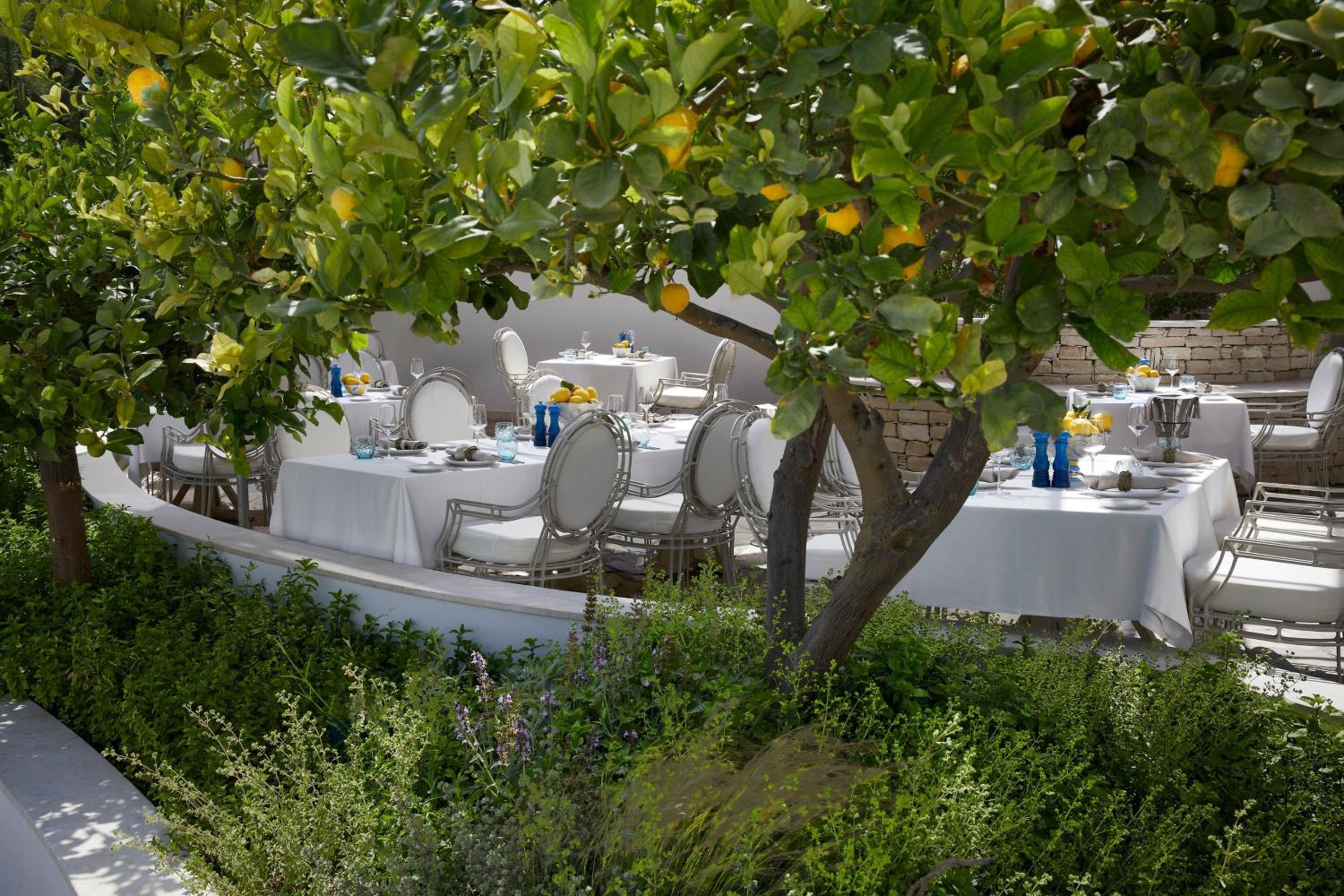 Parklane, a Luxury Collection Resort & Spa, Limassol — photo 267