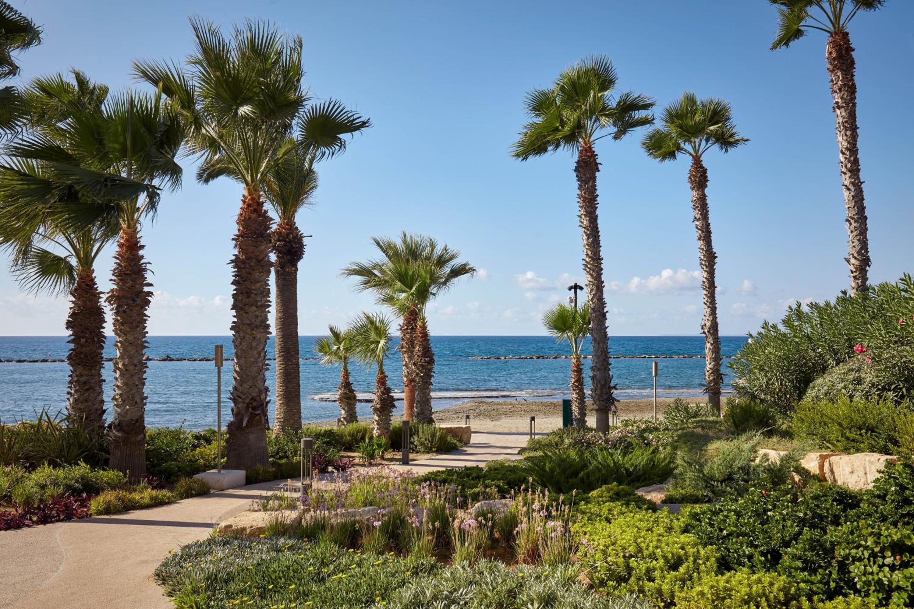 Parklane, a Luxury Collection Resort & Spa, Limassol — photo 90