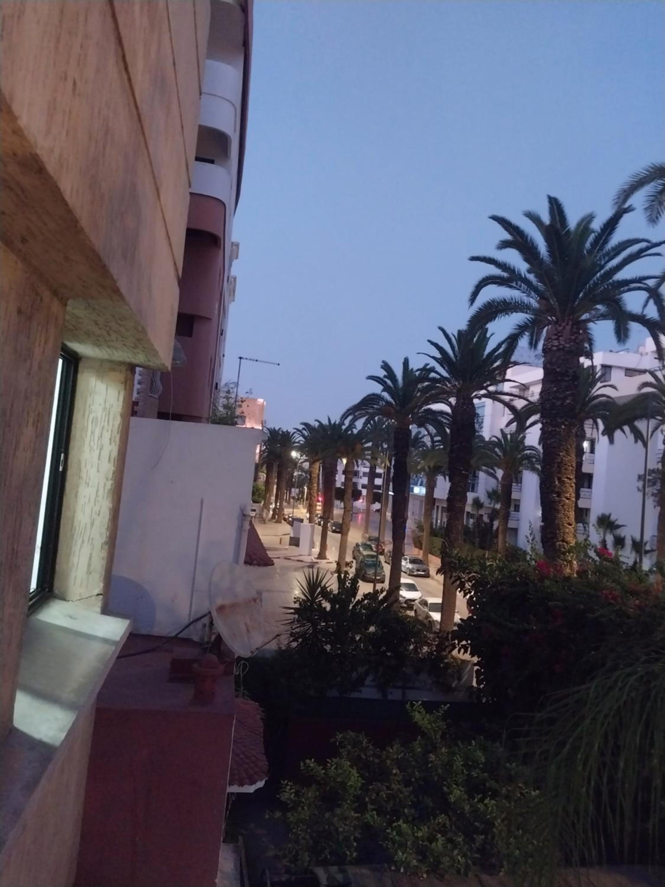 Hotel Chambre des palmiers - Image 1