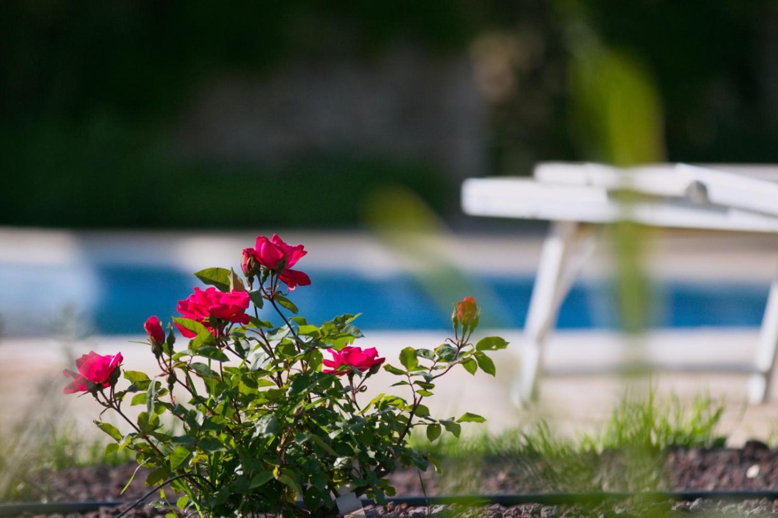 Masseria Trullo Sovrano Exclusive B&B
